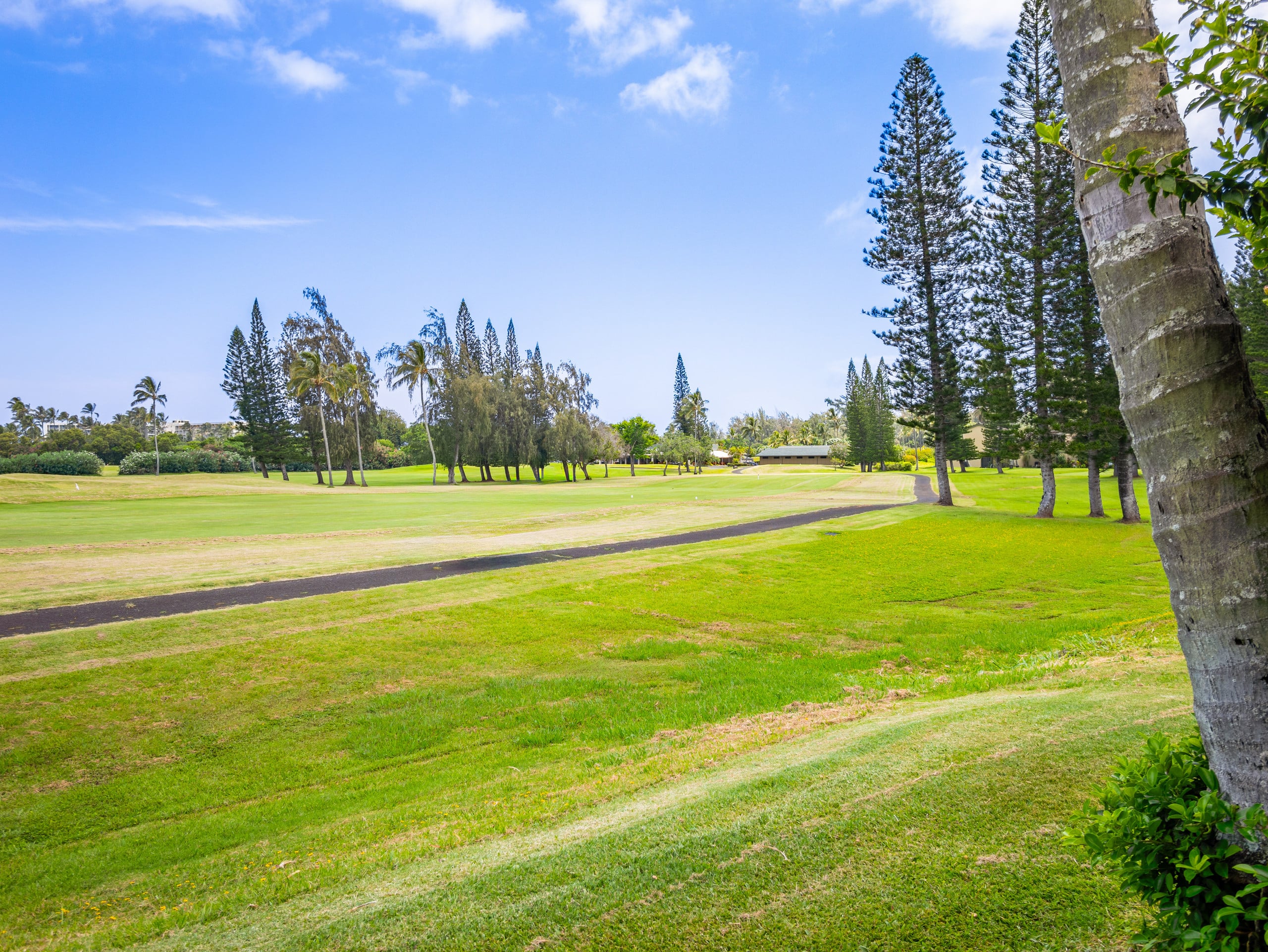 Exclusive Golf Course Front Kuilima West by Beach - Image 49