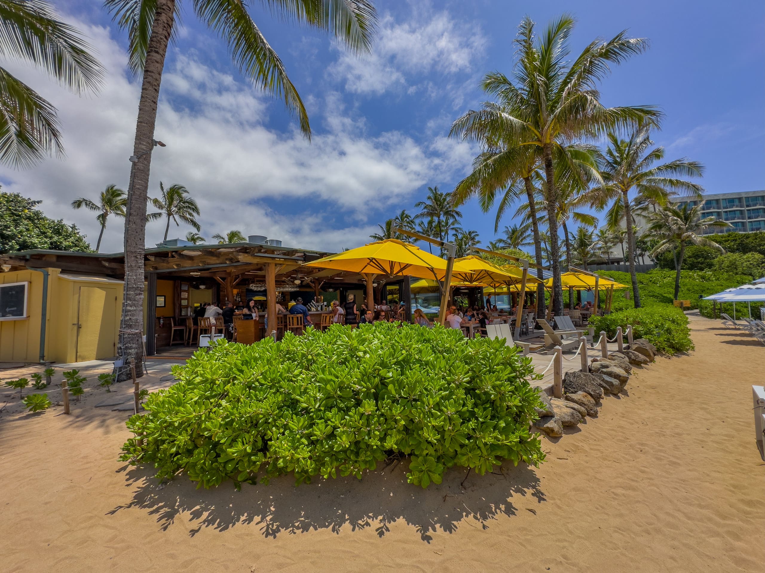 Exclusive Golf Course Front Kuilima West by Beach - Image 83