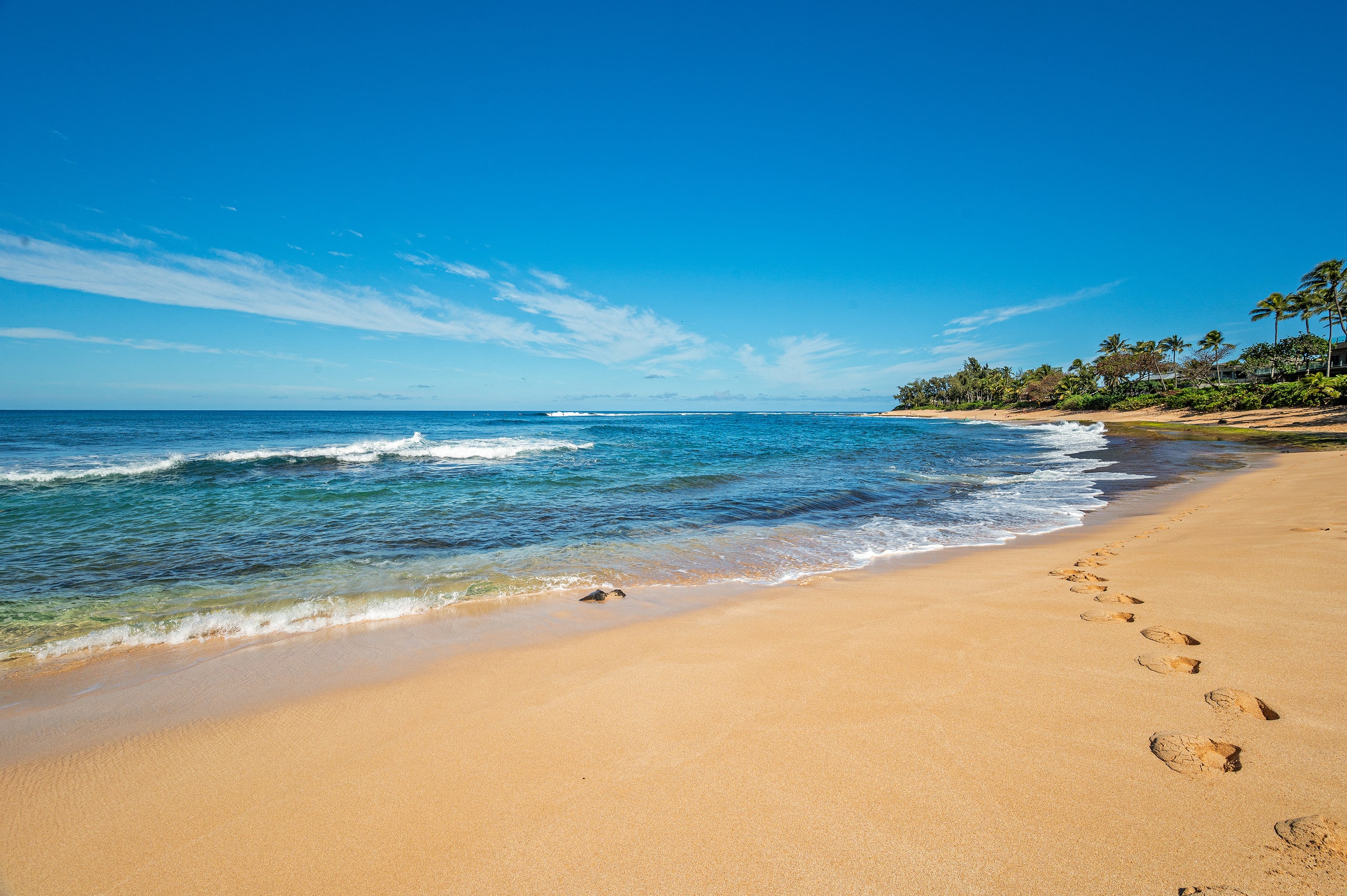Condo in Kahuku · ★4.85 · 2 bedrooms · 4 beds · 2 private baths - Image 58