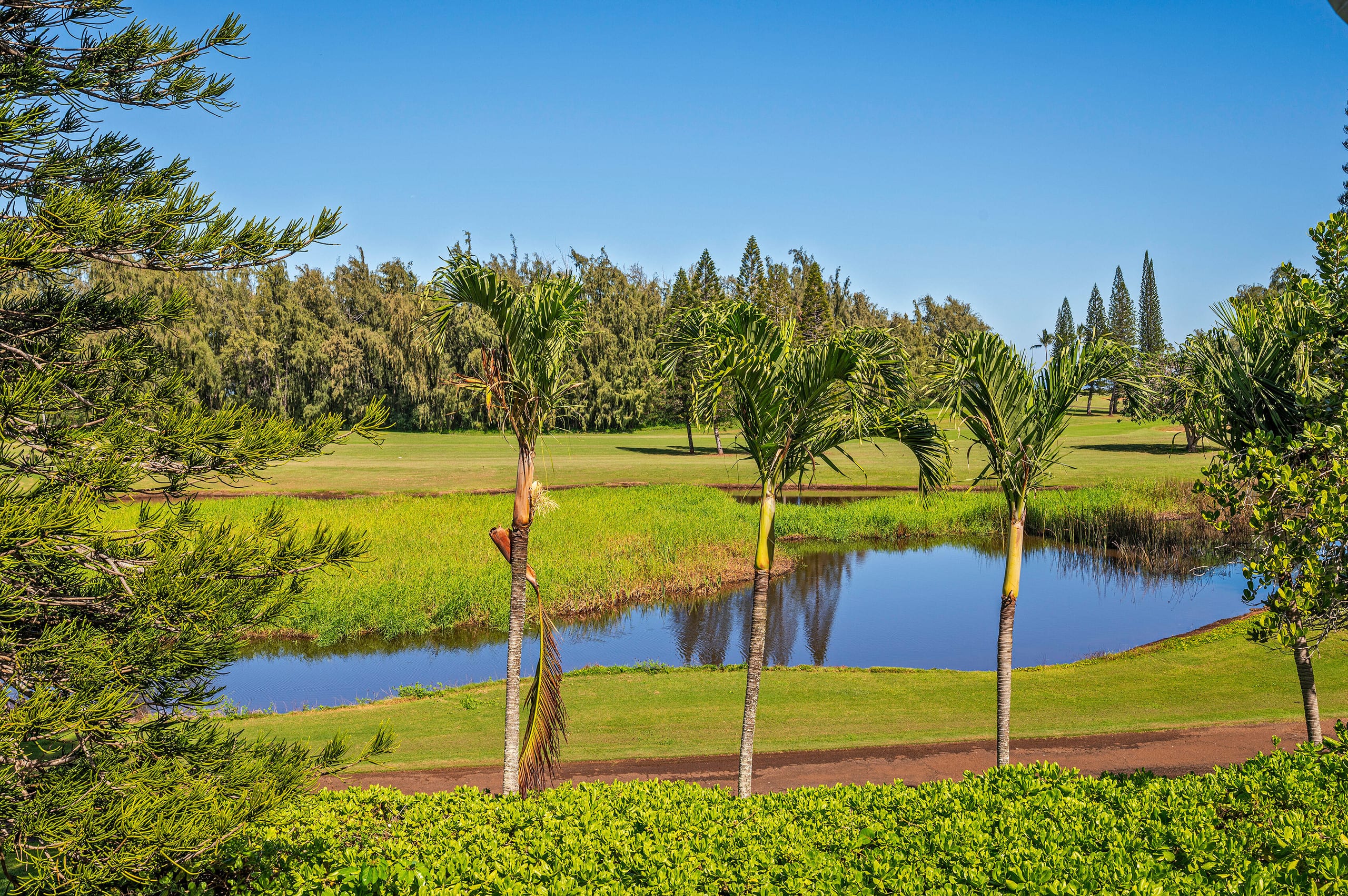 Condo in Kahuku · ★4.85 · 2 bedrooms · 4 beds · 2 private baths - Image 48
