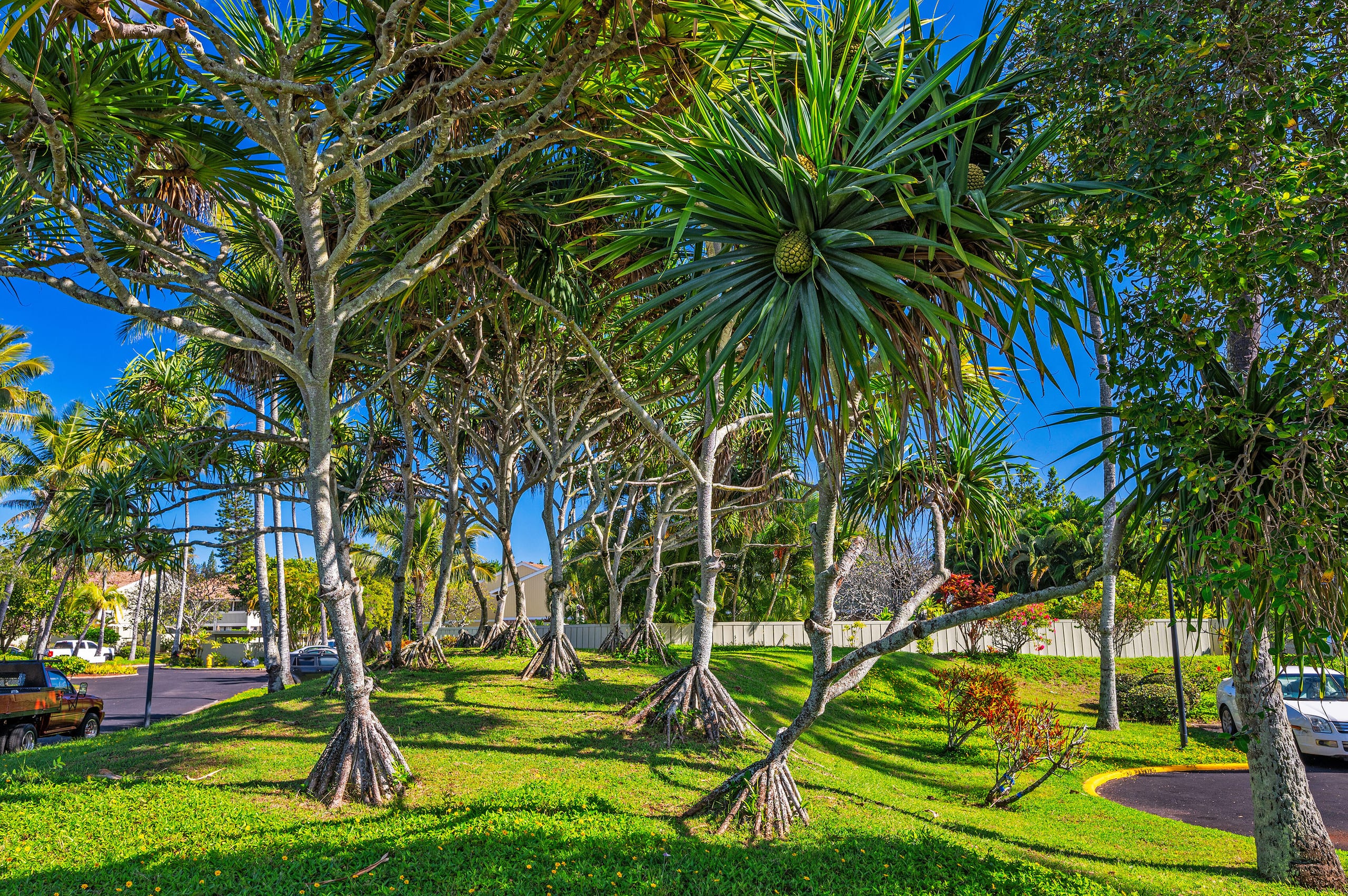 Condo in Kahuku · ★4.85 · 2 bedrooms · 4 beds · 2 private baths - Image 50