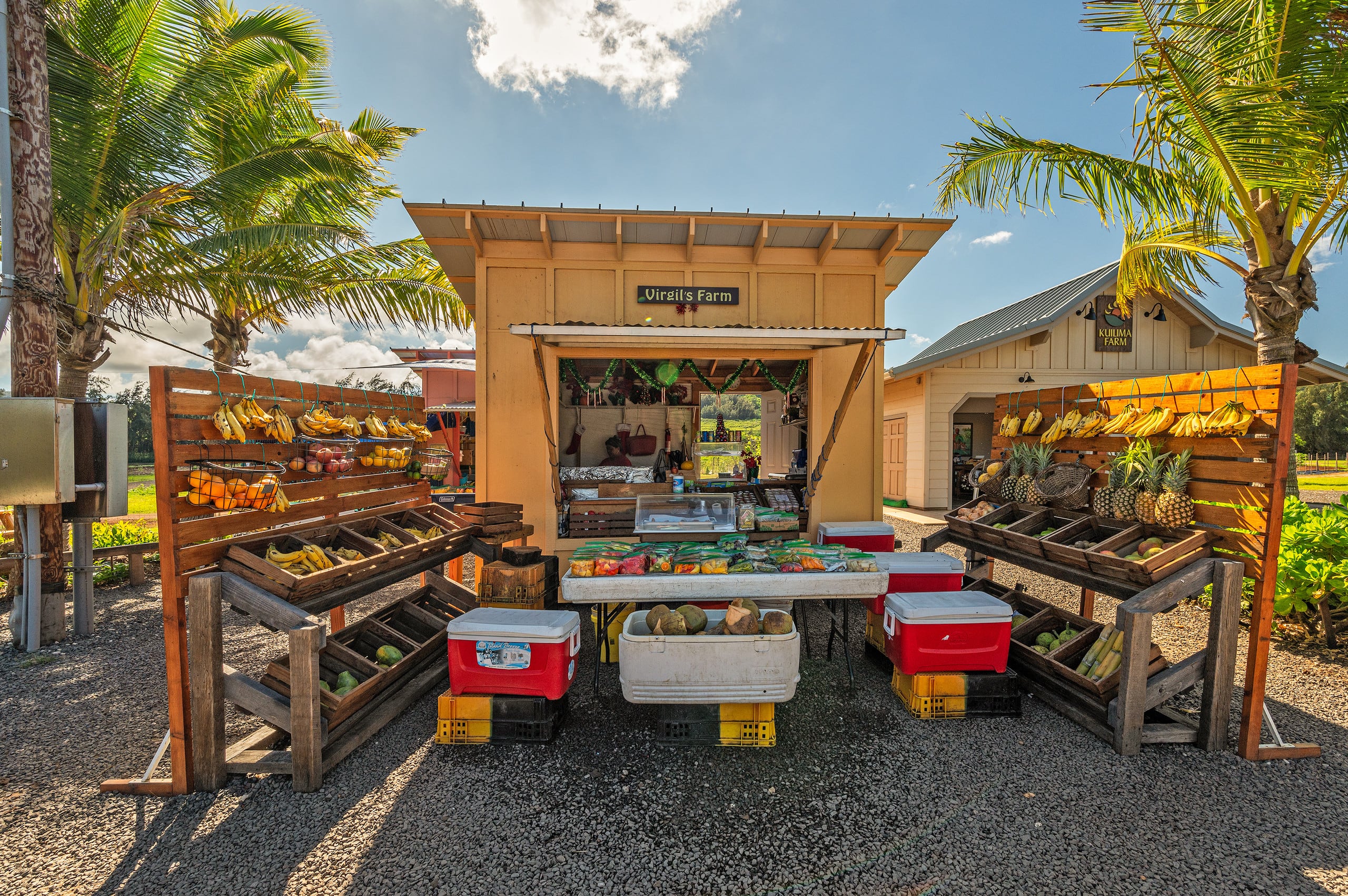 Condo in Kahuku · ★4.85 · 2 bedrooms · 4 beds · 2 private baths - Image 61