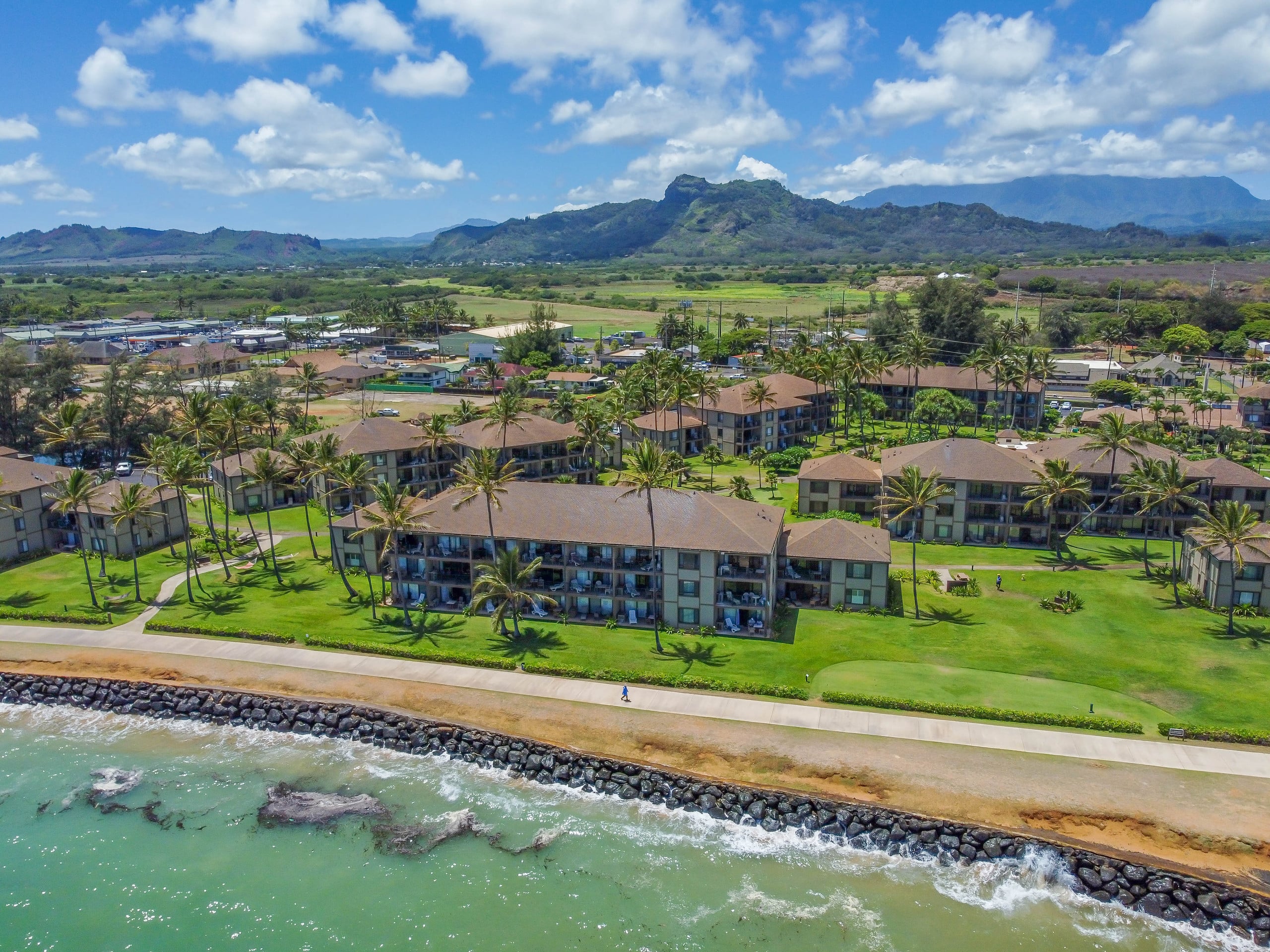 Condo in Kapaa · ★4.94 · 1 bedroom · 2 beds · 1 shared bath - Image 42