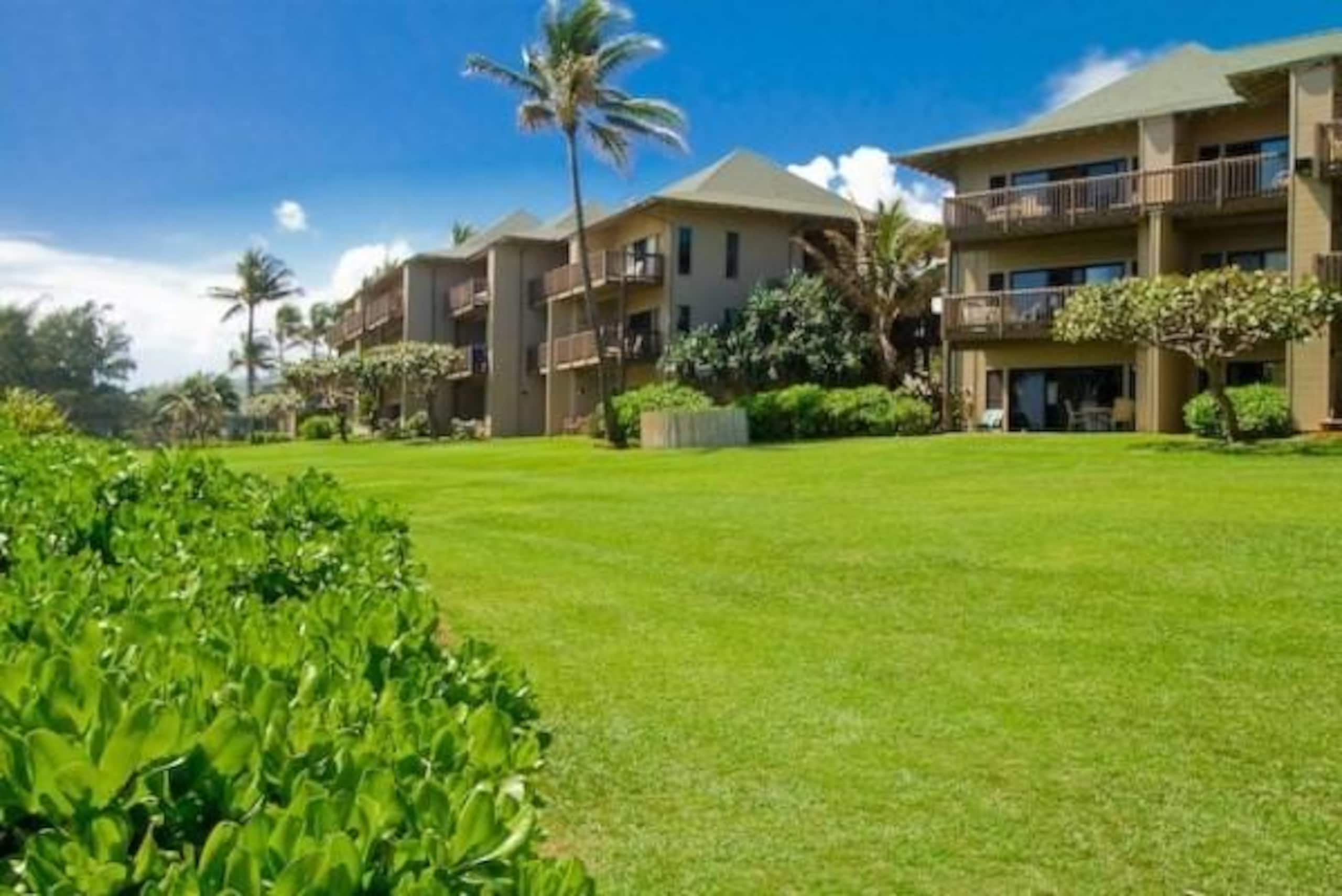 Condo in Lihue · ★5.0 · 2 bedrooms · 3 beds · 2 baths - Photo 27