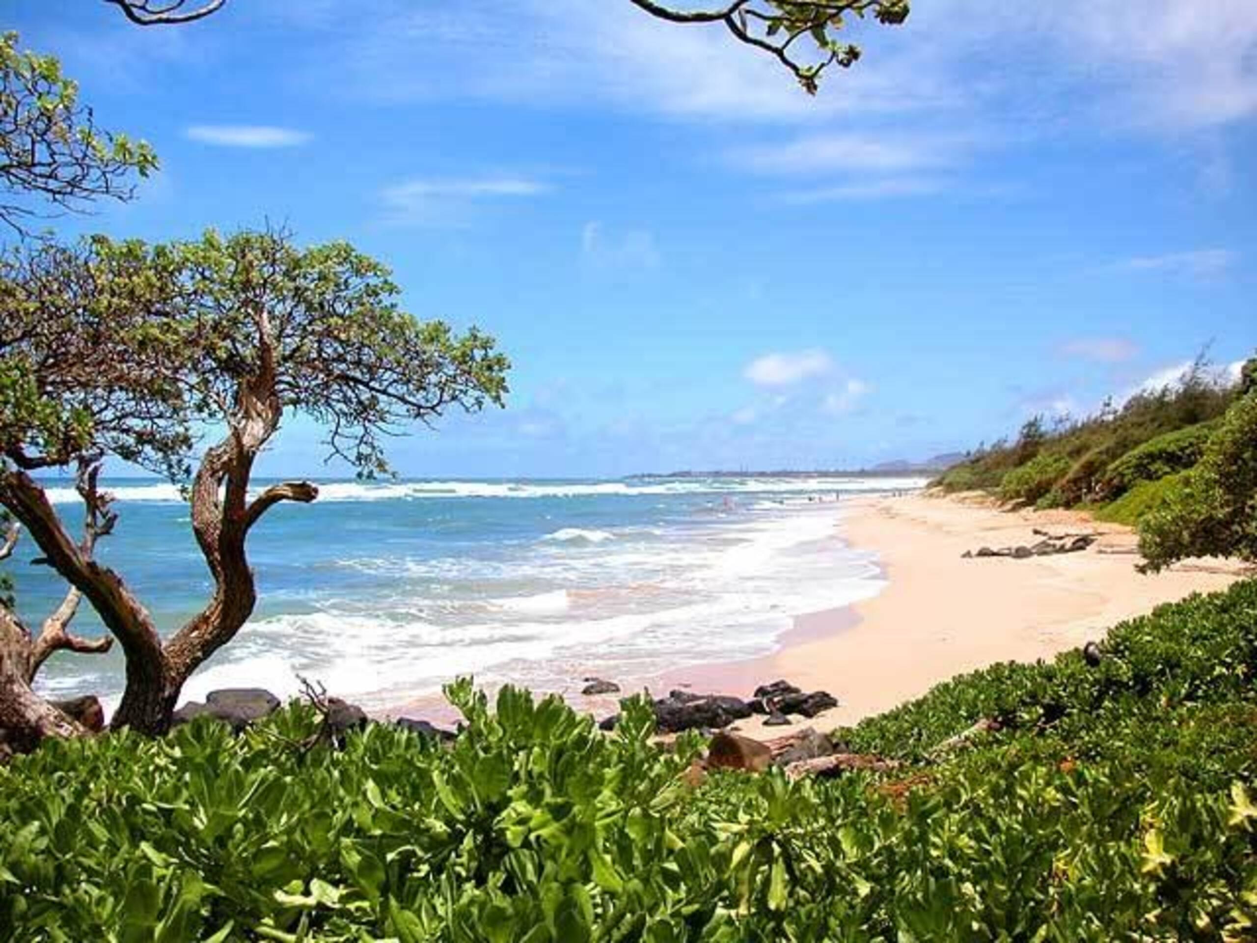 Condo in Lihue · ★5.0 · 2 bedrooms · 3 beds · 2 baths - Photo 28
