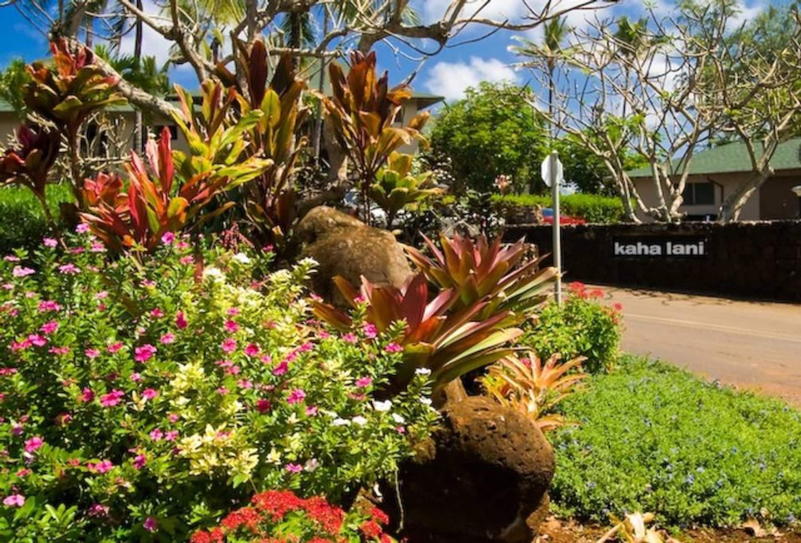 Condo in Lihue · ★5.0 · 2 bedrooms · 3 beds · 2 baths - Photo 26