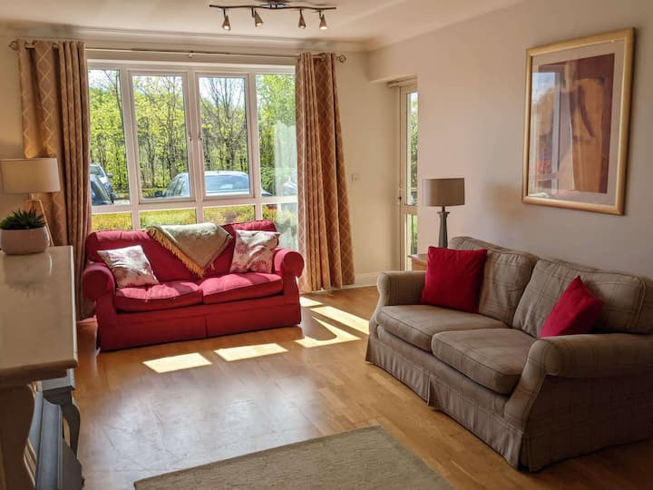 Spacious And Bright 2 Bedroom Apt - Great Location - Galway