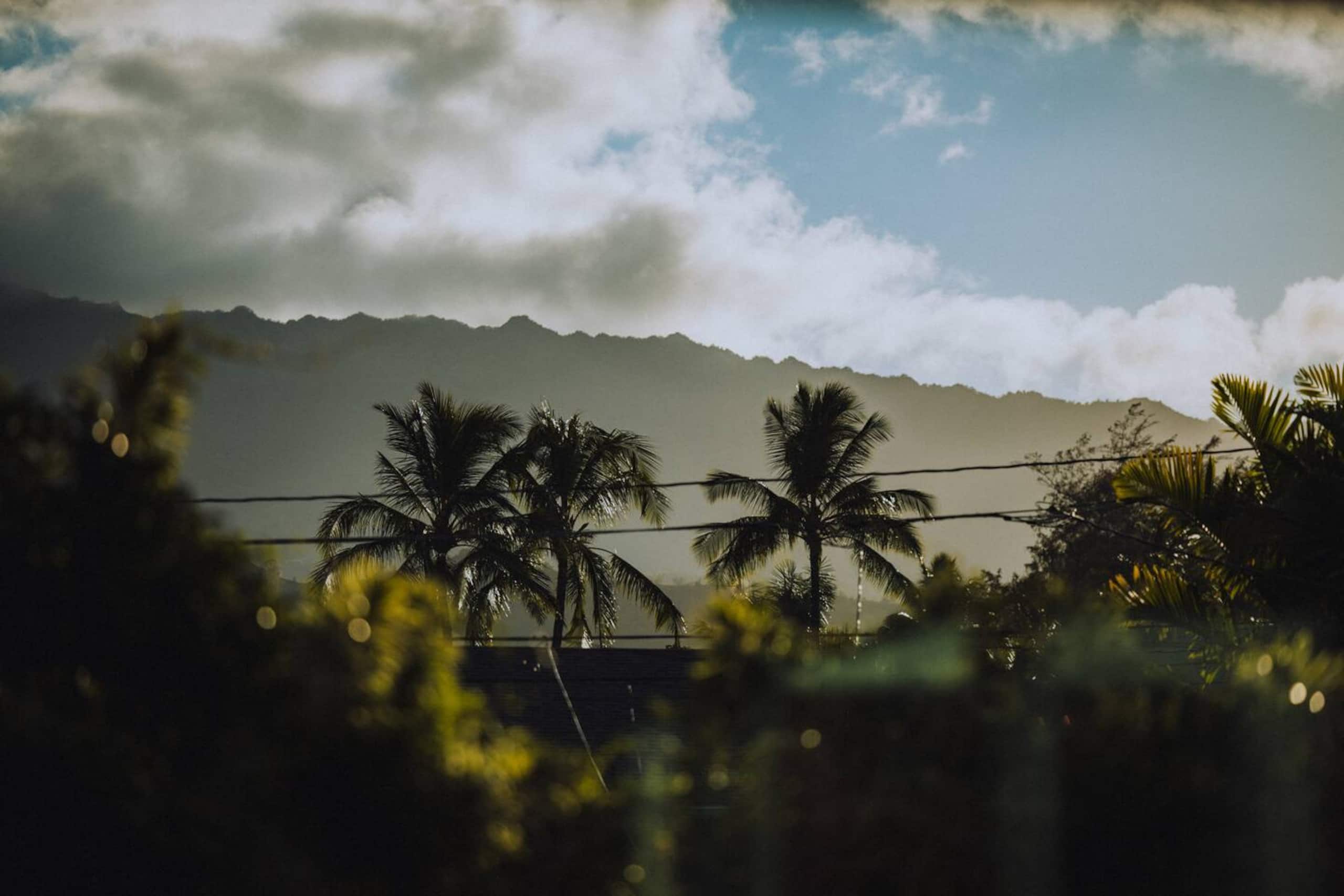 Home in Hanalei · ★5.0 · 5 bedrooms · 5 beds · 4 baths - Image 78