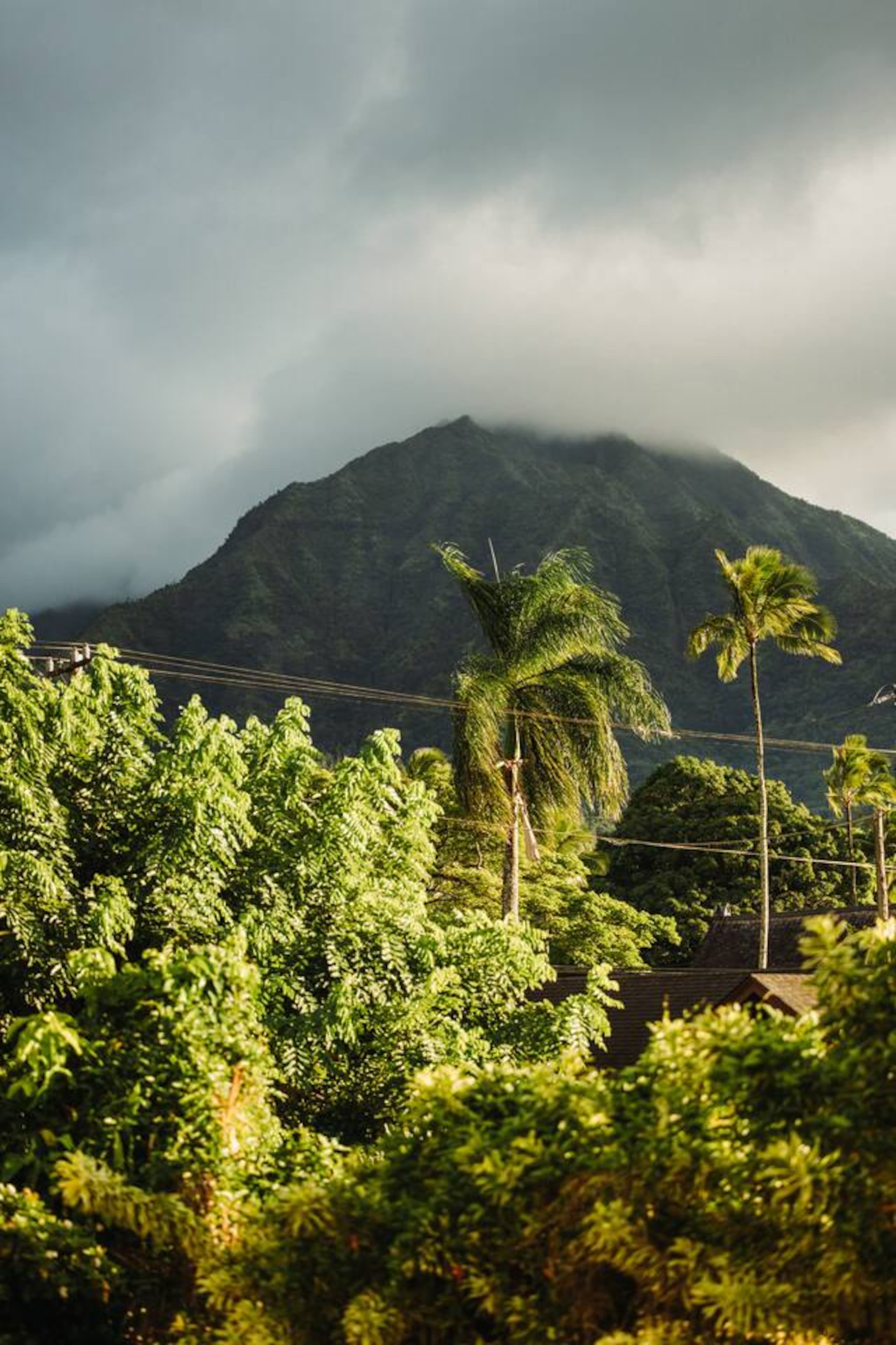 Home in Hanalei · ★5.0 · 5 bedrooms · 5 beds · 4 baths - Image 74