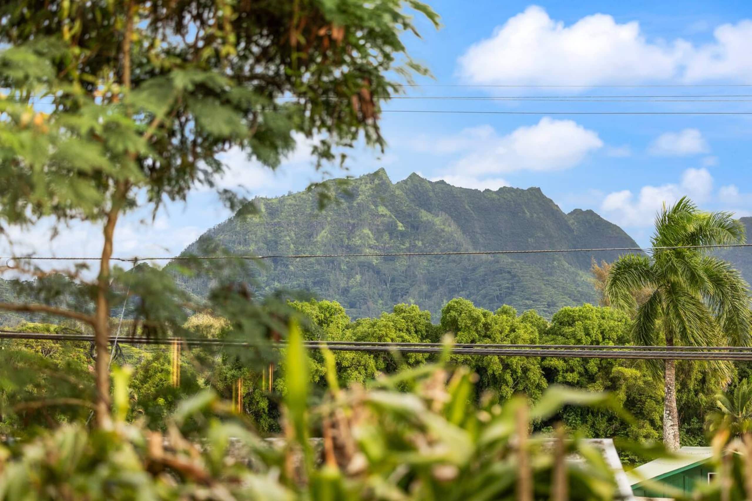 Home in Hanalei · ★5.0 · 5 bedrooms · 5 beds · 4 baths - Image 68