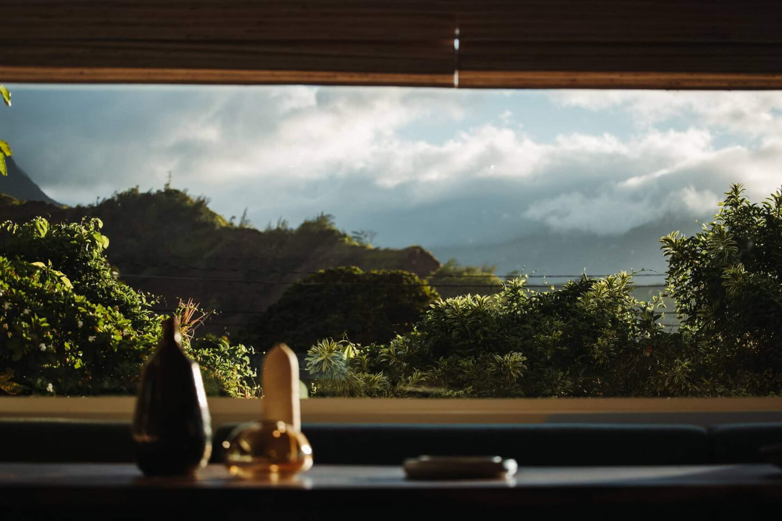 Home in Hanalei · ★5.0 · 5 bedrooms · 5 beds · 4 baths - Image 75