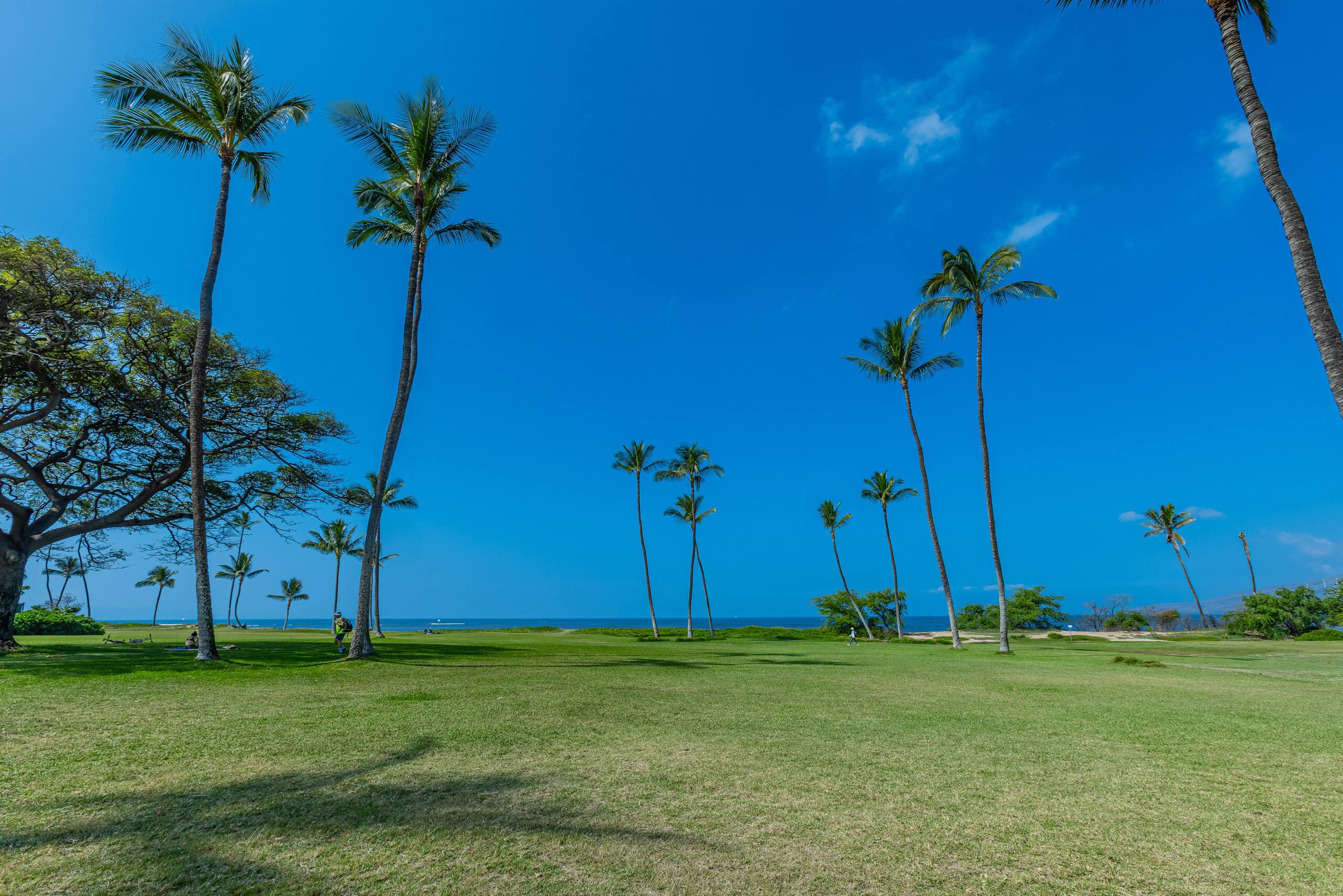 Oceanfront, Panoramic View, A/C, Free Wifi LEI205 - Image 44
