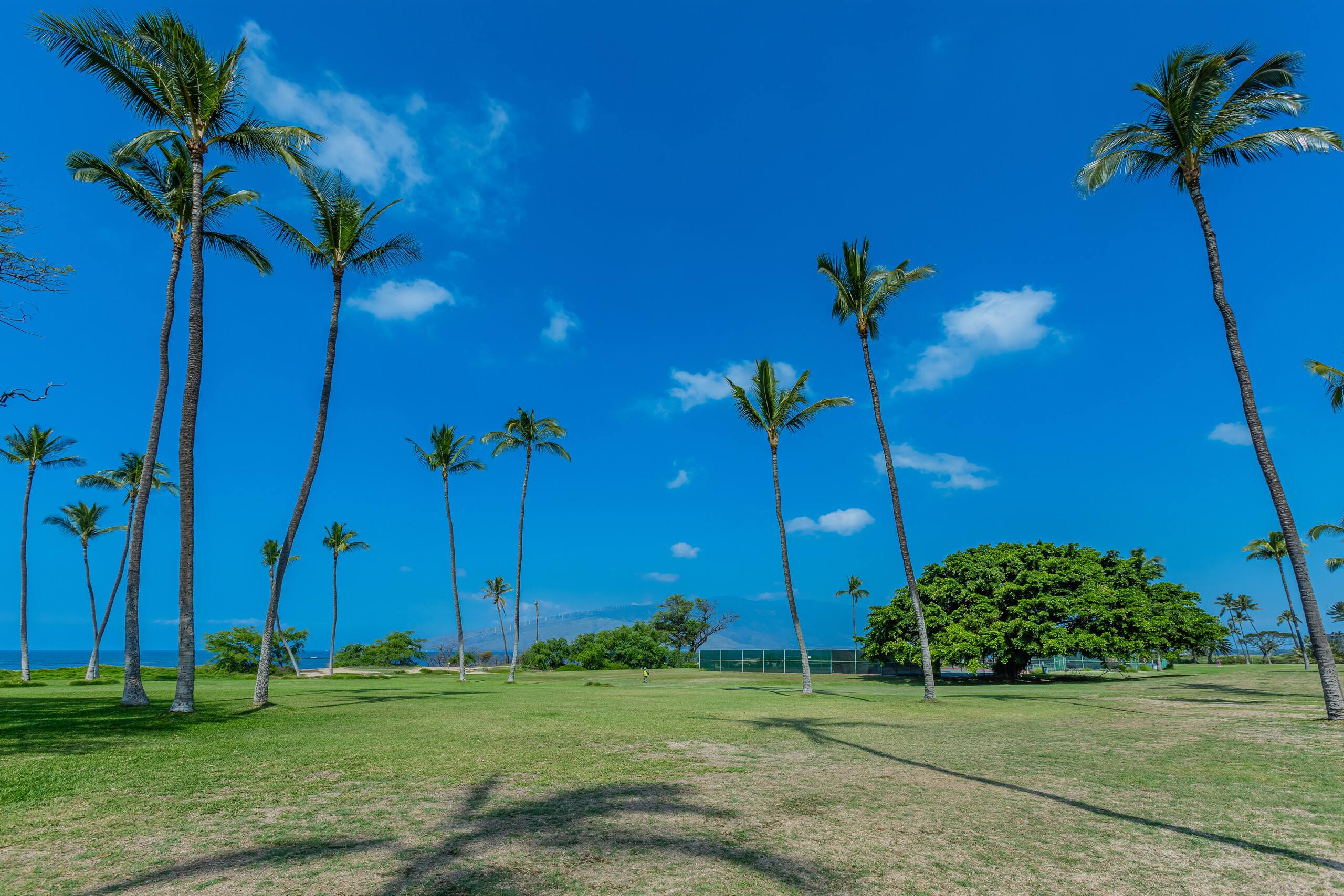 Oceanfront, Panoramic View, A/C, Free Wifi LEI205 - Image 39