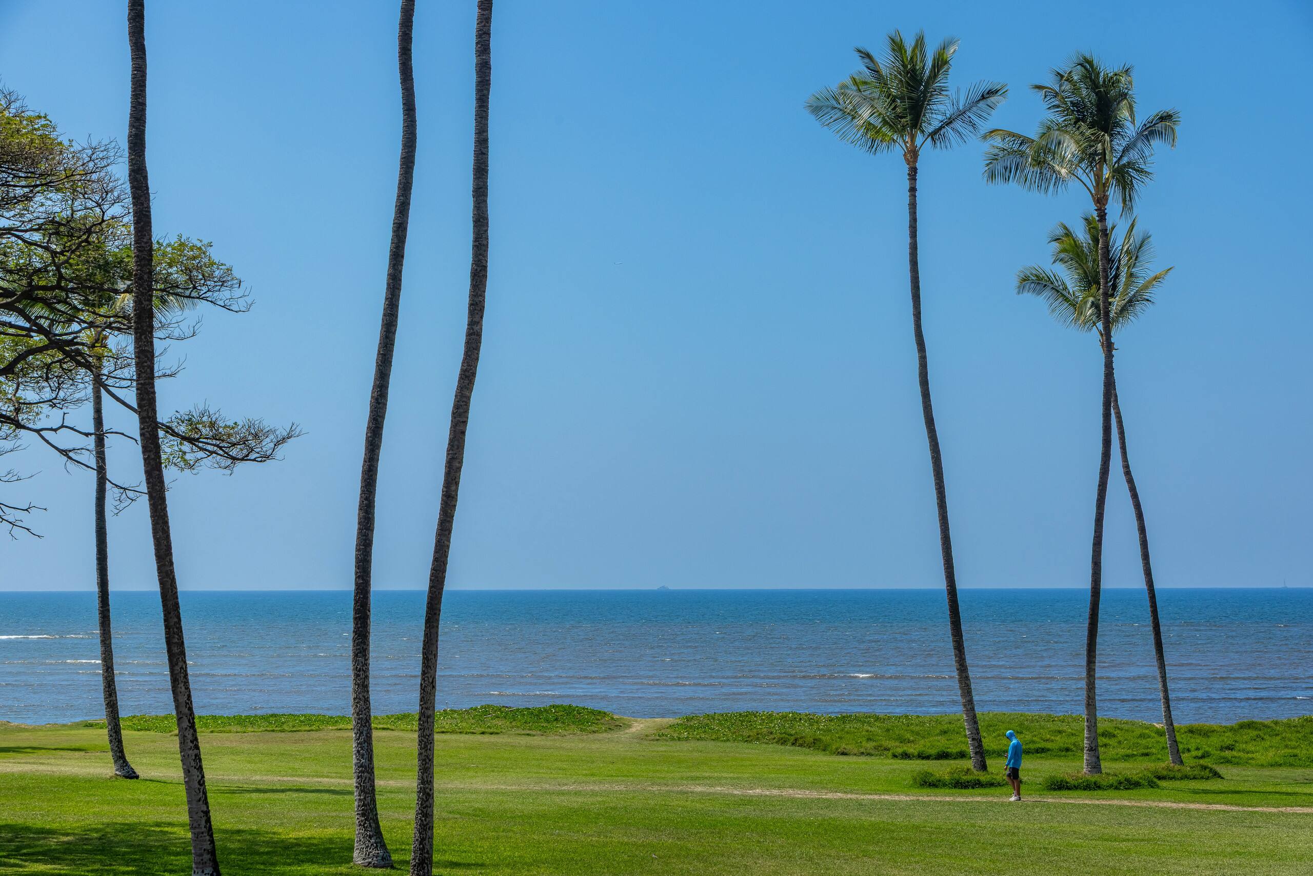 Oceanfront, Panoramic View, A/C, Free Wifi LEI205 - Image 37