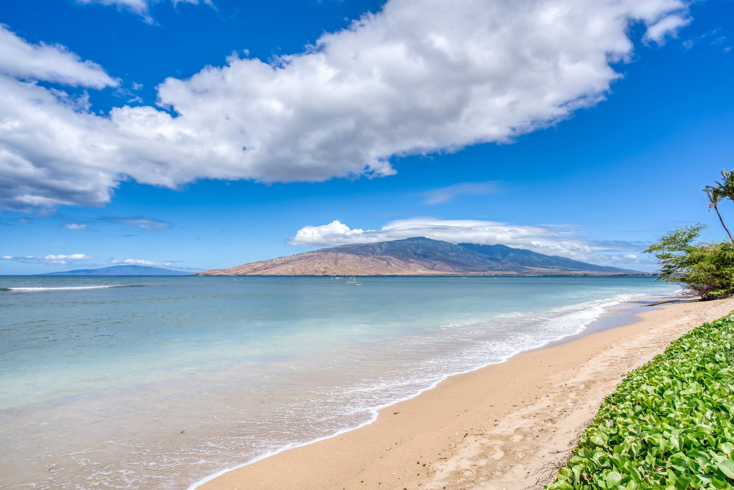 Oceanfront, Panoramic View, A/C, Free Wifi LEI205 - Image 34