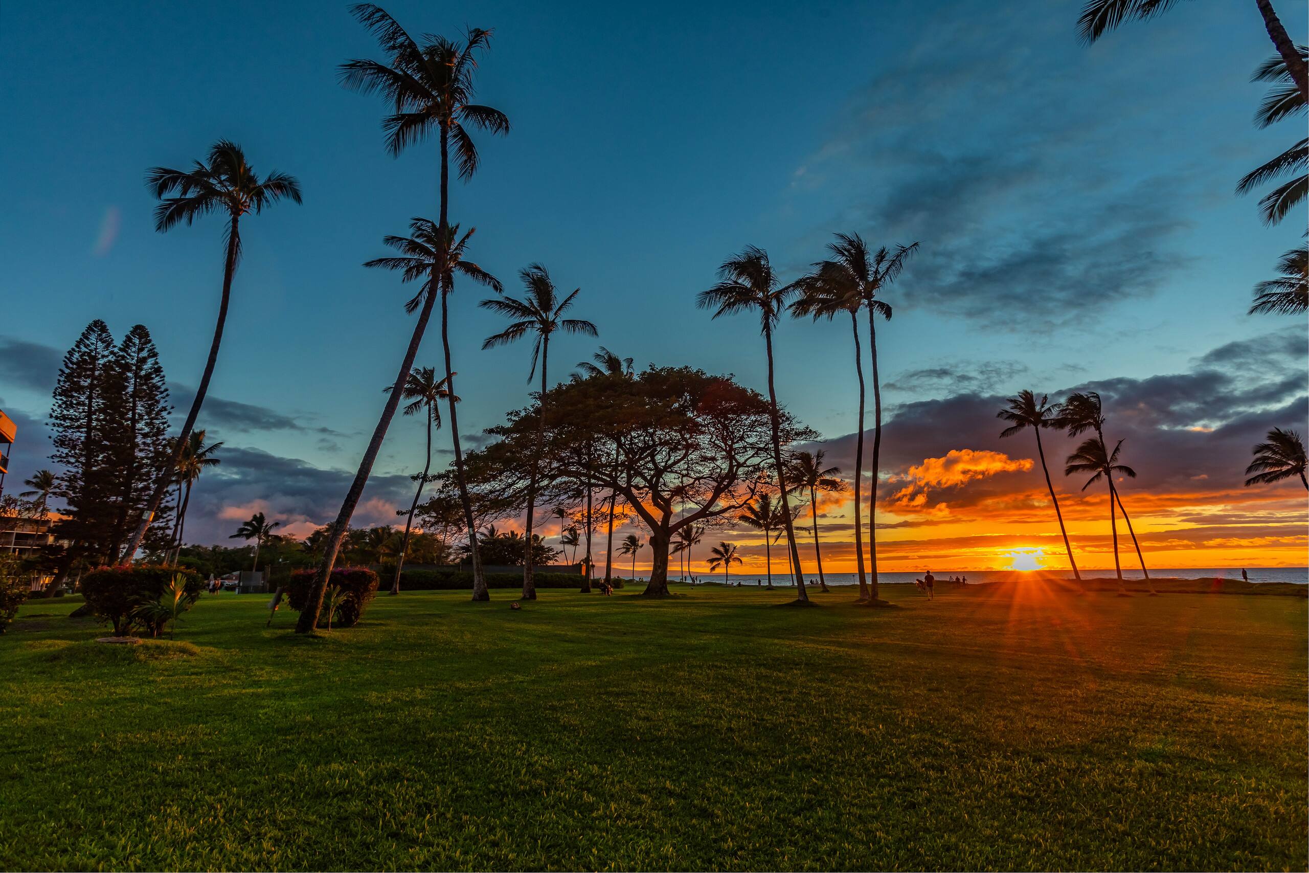 Oceanfront, Panoramic View, A/C, Free Wifi LEI205 - Image 32