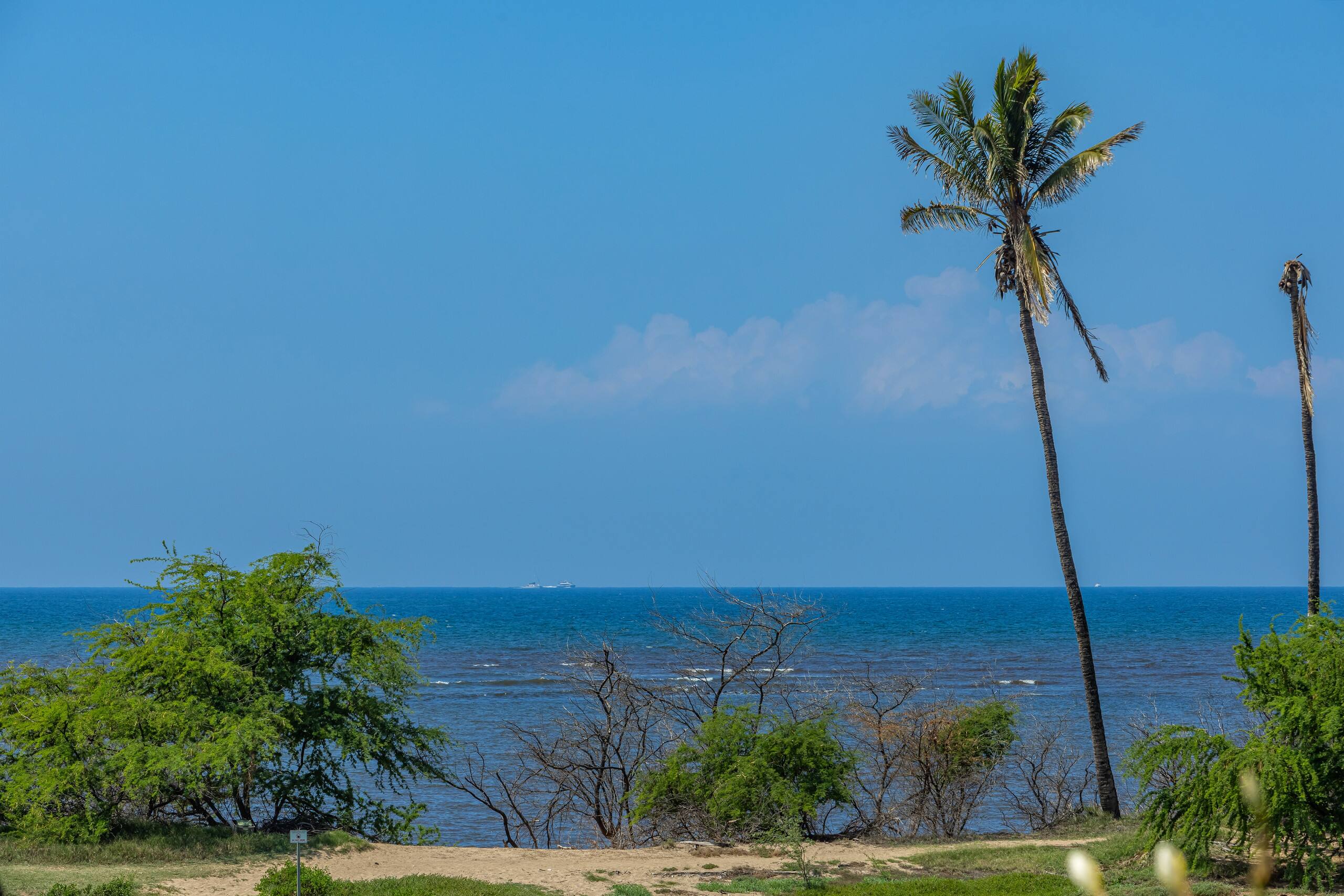 Oceanfront, Panoramic View, A/C, Free Wifi LEI205 - Image 35