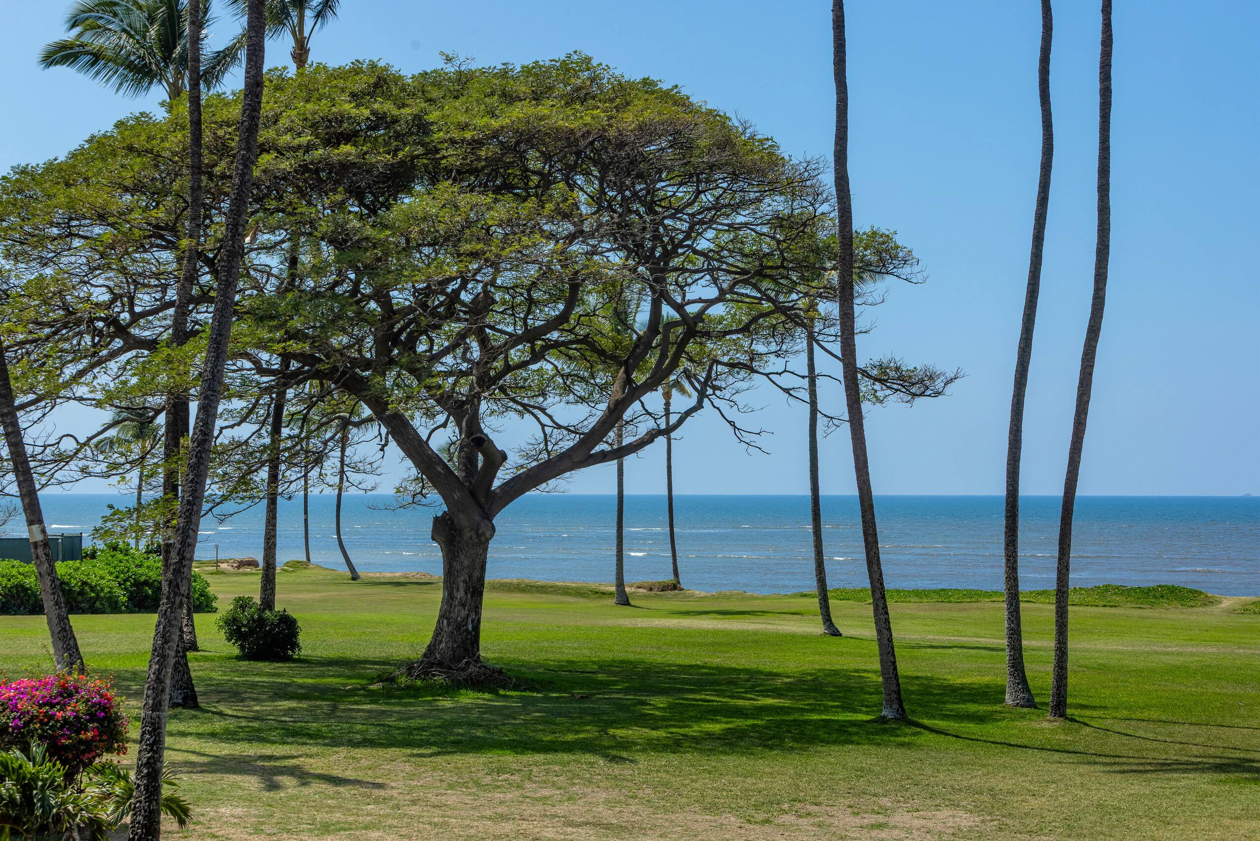 Oceanfront, Panoramic View, A/C, Free Wifi LEI205 - Image 46