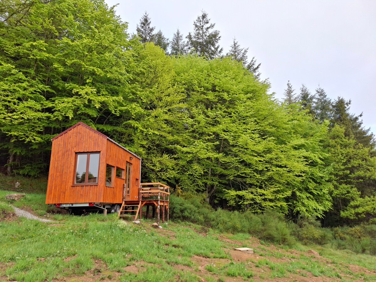 the-long-barn-campsites-for-rent-in-saint-rirand-auvergne-rh-ne