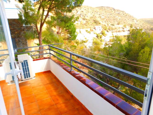 a 239 Puig rom gallery image 5