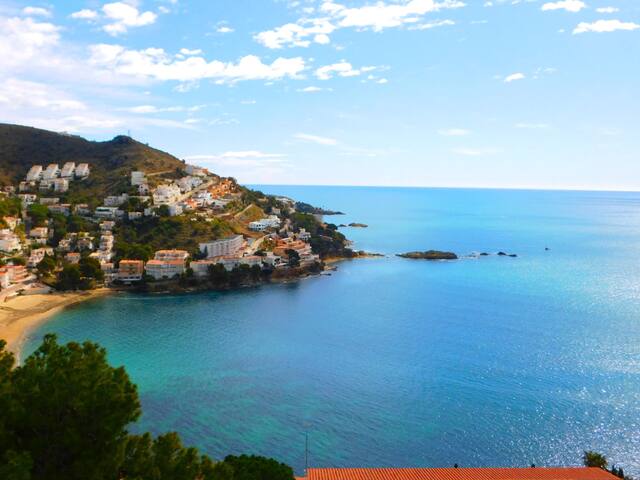 a 239 Puig rom gallery image 2