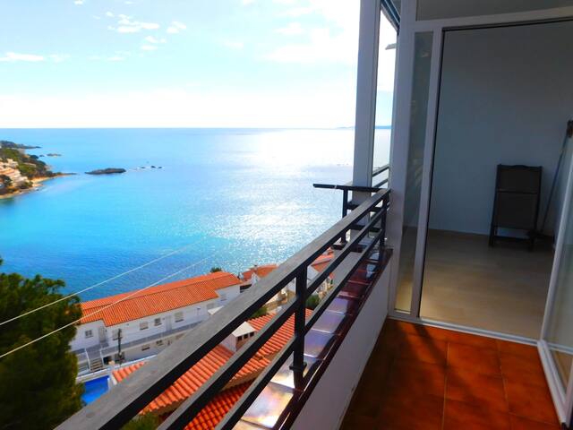 a 239 Puig rom gallery image 3