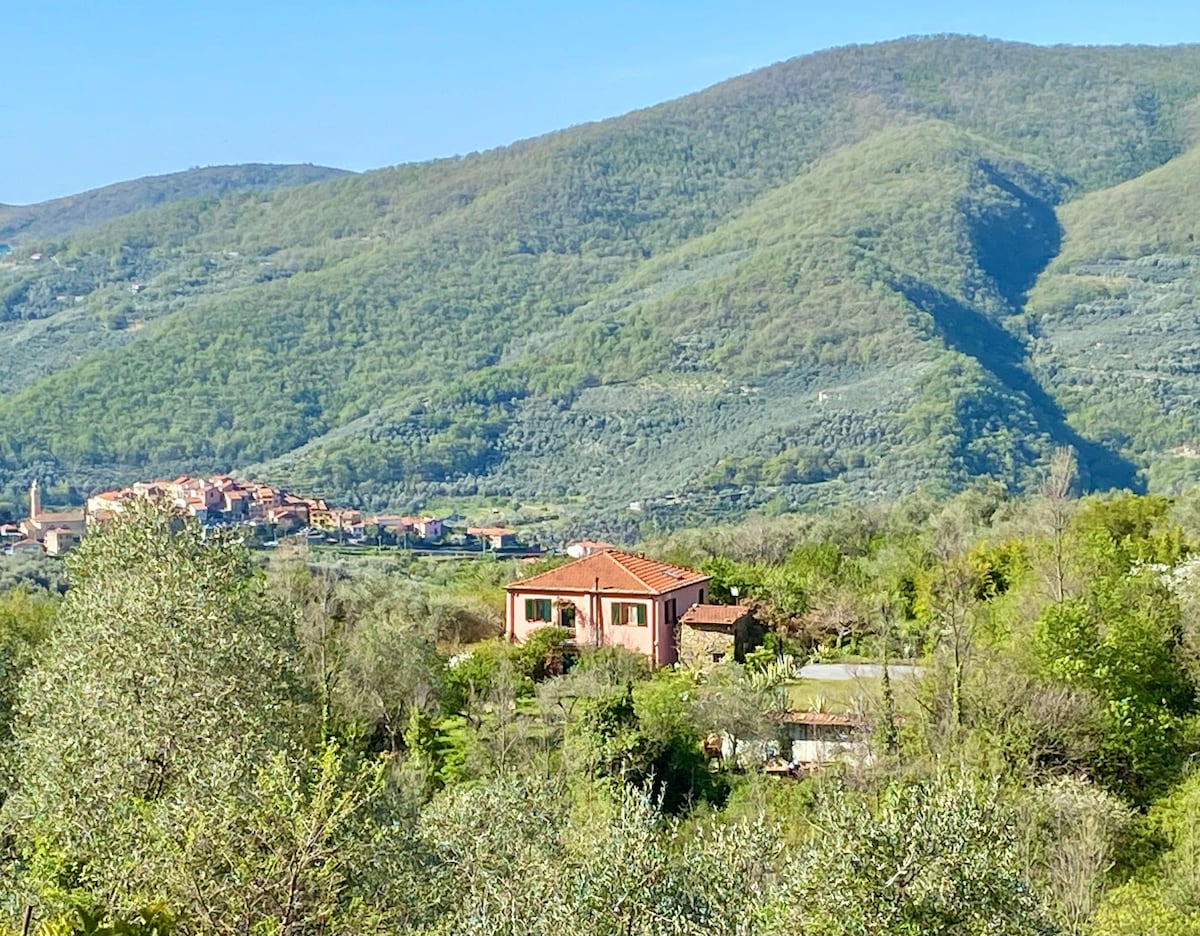 A two-story house is situated amidst lush greenery, with rolling hills visible in the background. The structure is characterized by a terracotta roof and multiple windows that reflect the natural surroundings. Olive trees and other vegetation are present in the foreground.