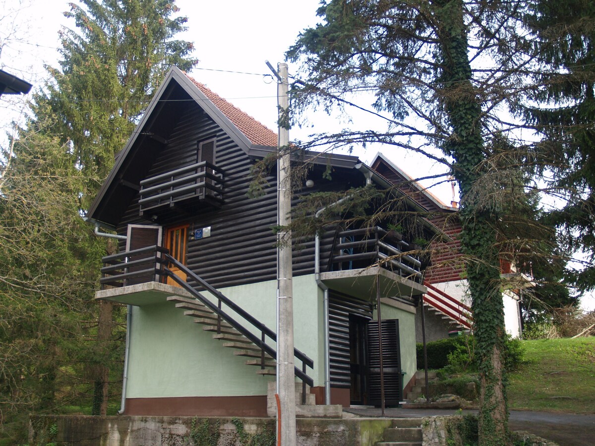 A two-story wooden house is depicted, featuring a dark exterior complemented by light green lower walls. A staircase leads to the entrance, with balconies on the upper floor. Surrounding pines and greenery enhance the natural setting of the home.