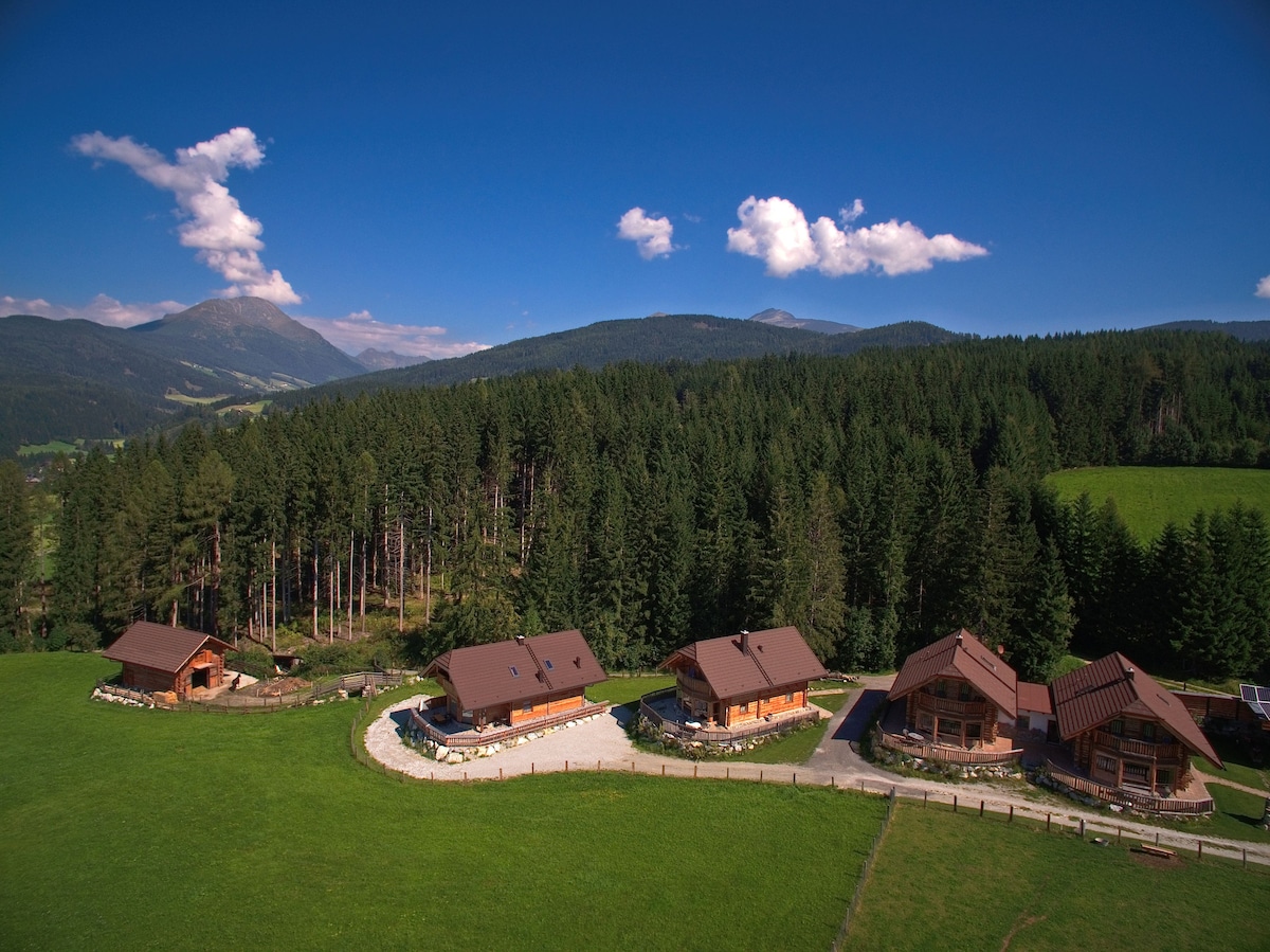 A panoramic view captures several wooden chalets arranged in a curved pattern amidst lush green fields and towering pine trees. The backdrop features rolling mountains under a clear blue sky, creating a serene and natural setting.