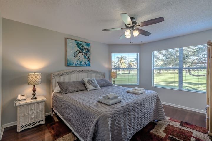 Isla Del Sol Rentals St. Petersburg Fl! - St. Petersburg