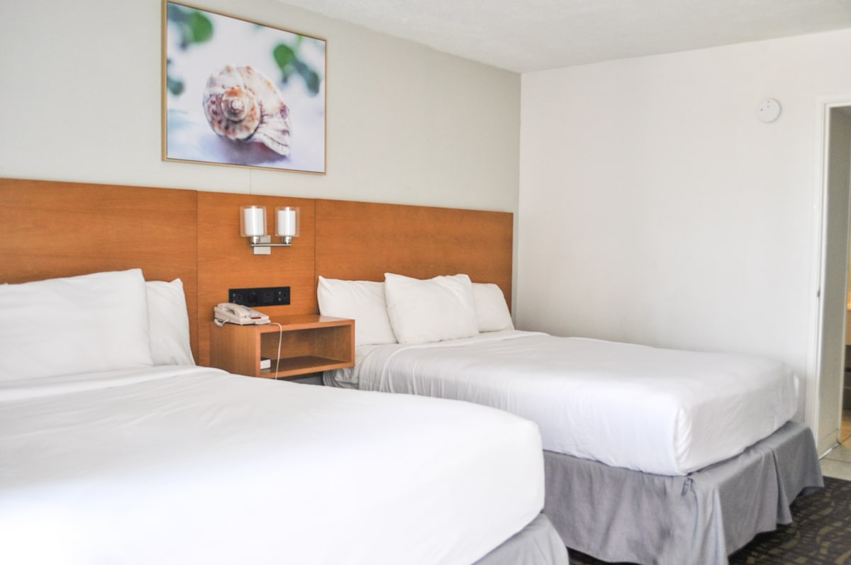 A well-appointed room features two spacious double beds with crisp white linens. Soft pillows are arranged neatly, while a framed photograph of a shell decorates the wall above the headboard. A wooden bedside table holds a lamp and telephone, contributing to the functional layout.