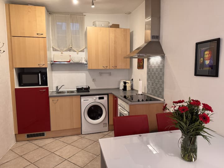 Rue Barri Apartment - Cannes