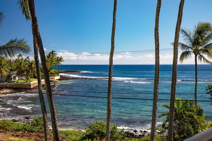 Prince Kuhio 401-Air Conditioned Poipu Penthouse . gallery image 2