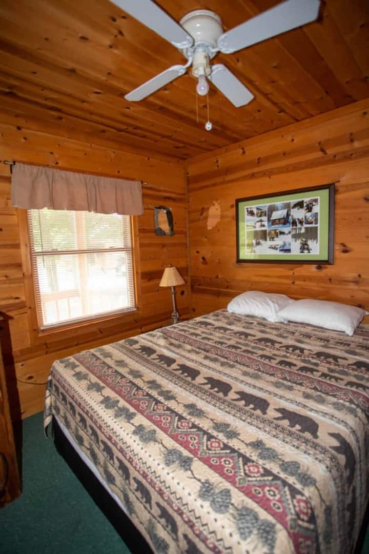 Log Cabin - Pool - Hot Tub - Sauna - 2332 - Gaylord, MI