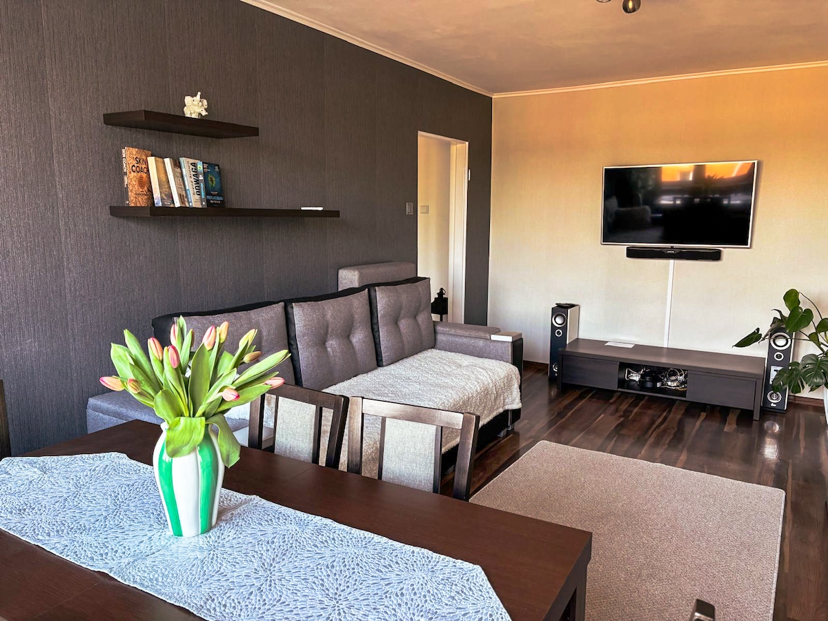 The living room features a modern sofa bed arranged across from a wall-mounted TV. A dark wood dining table with four chairs is situated nearby, and a vase of tulips adds a touch of color to the setting. Shelves on the wall hold a selection of books.