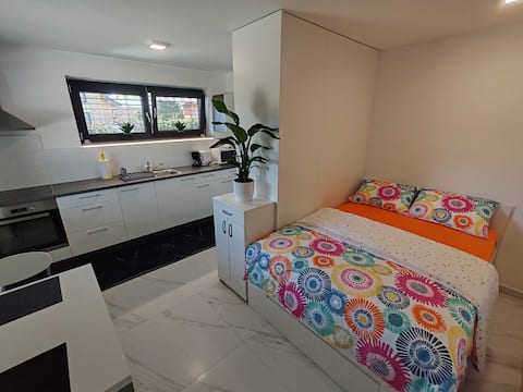 Successful Airbnb property: Studio Hathor: Terrace & Garden - Bikers Welcome in Kranj