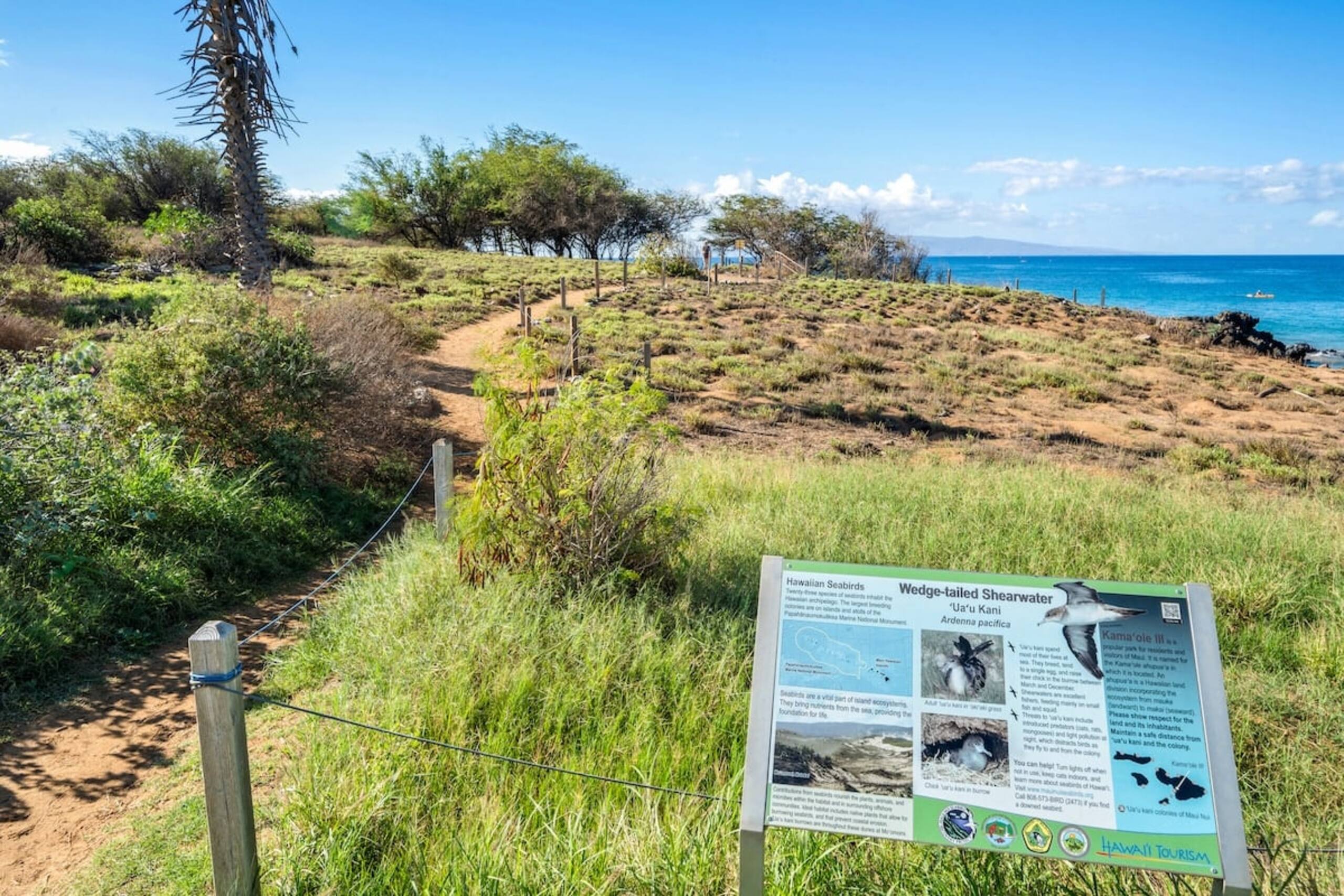 Condo in Kihei · ★4.86 · 1 bedroom · 2 beds · 1 bath - Image 28