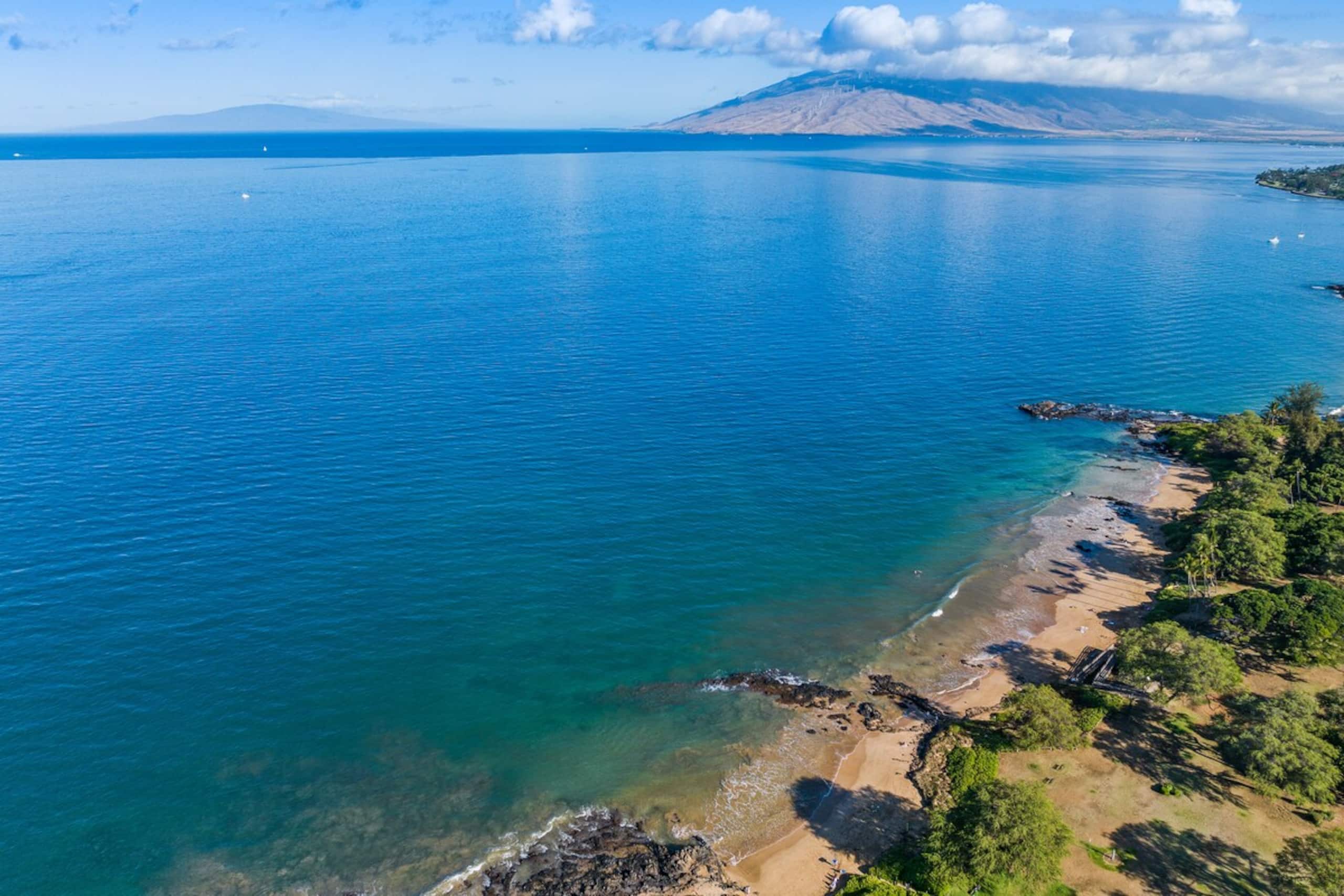 Condo in Kihei · ★4.86 · 1 bedroom · 2 beds · 1 bath - Image 53