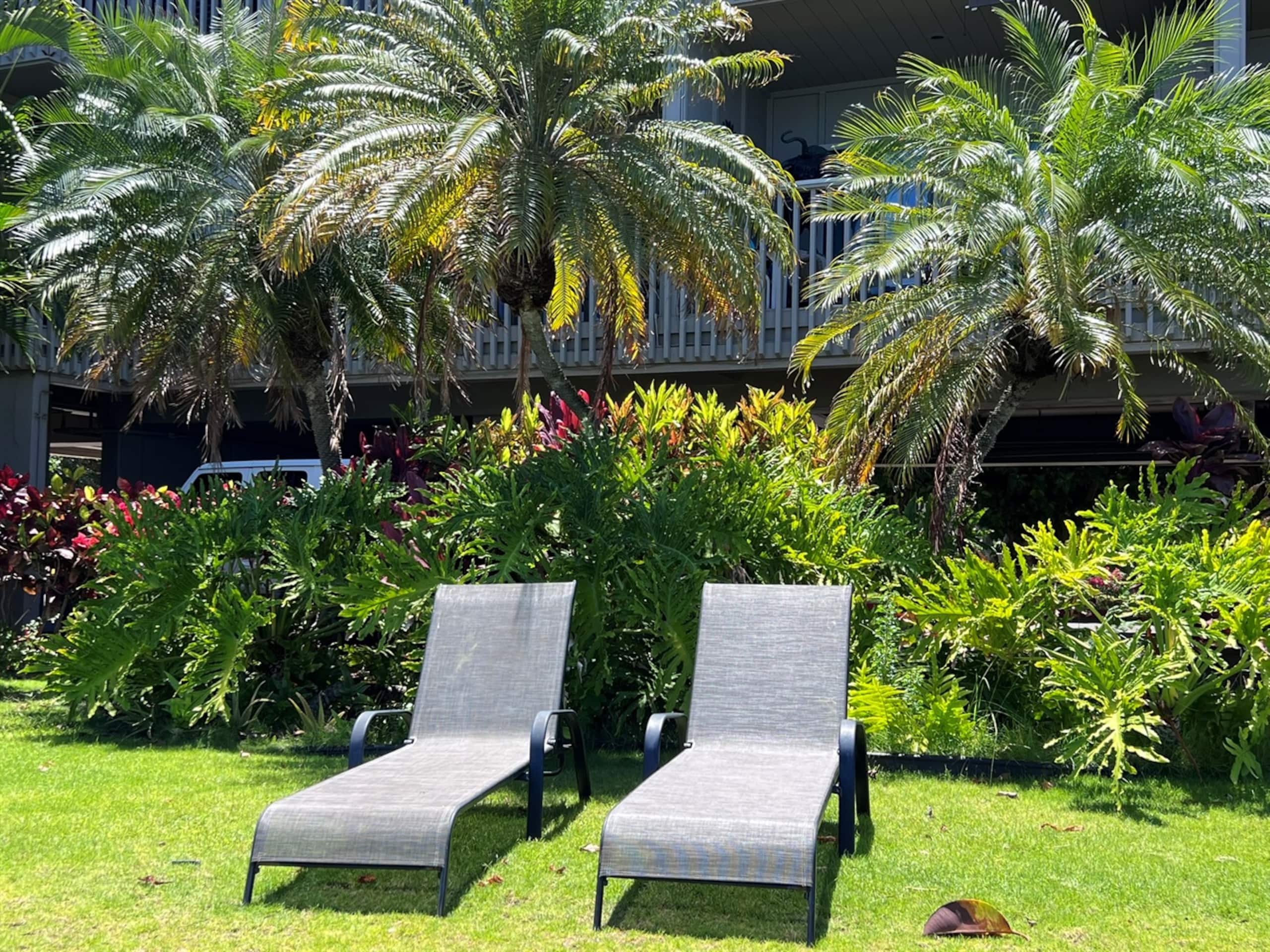 Condo in Lahaina · ★4.88 · 1 bedroom · 2 beds · 1 bath - Image 17
