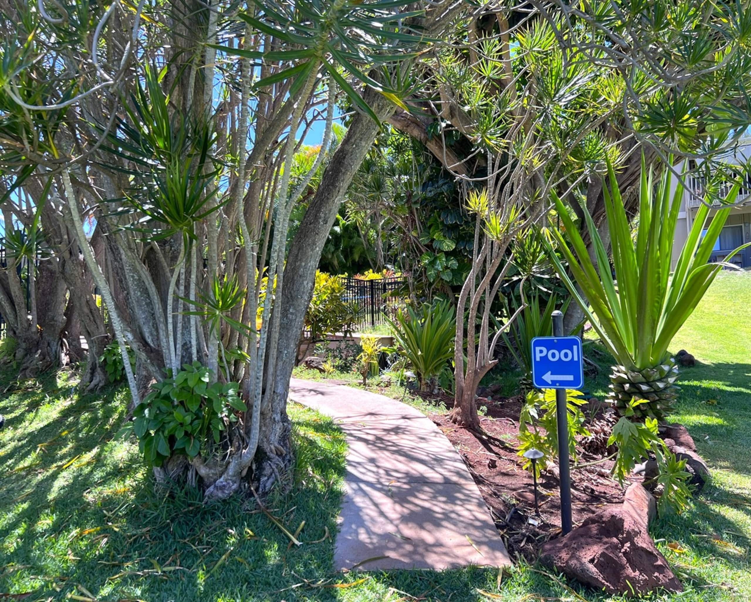Condo in Lahaina · ★4.88 · 1 bedroom · 2 beds · 1 bath - Image 18