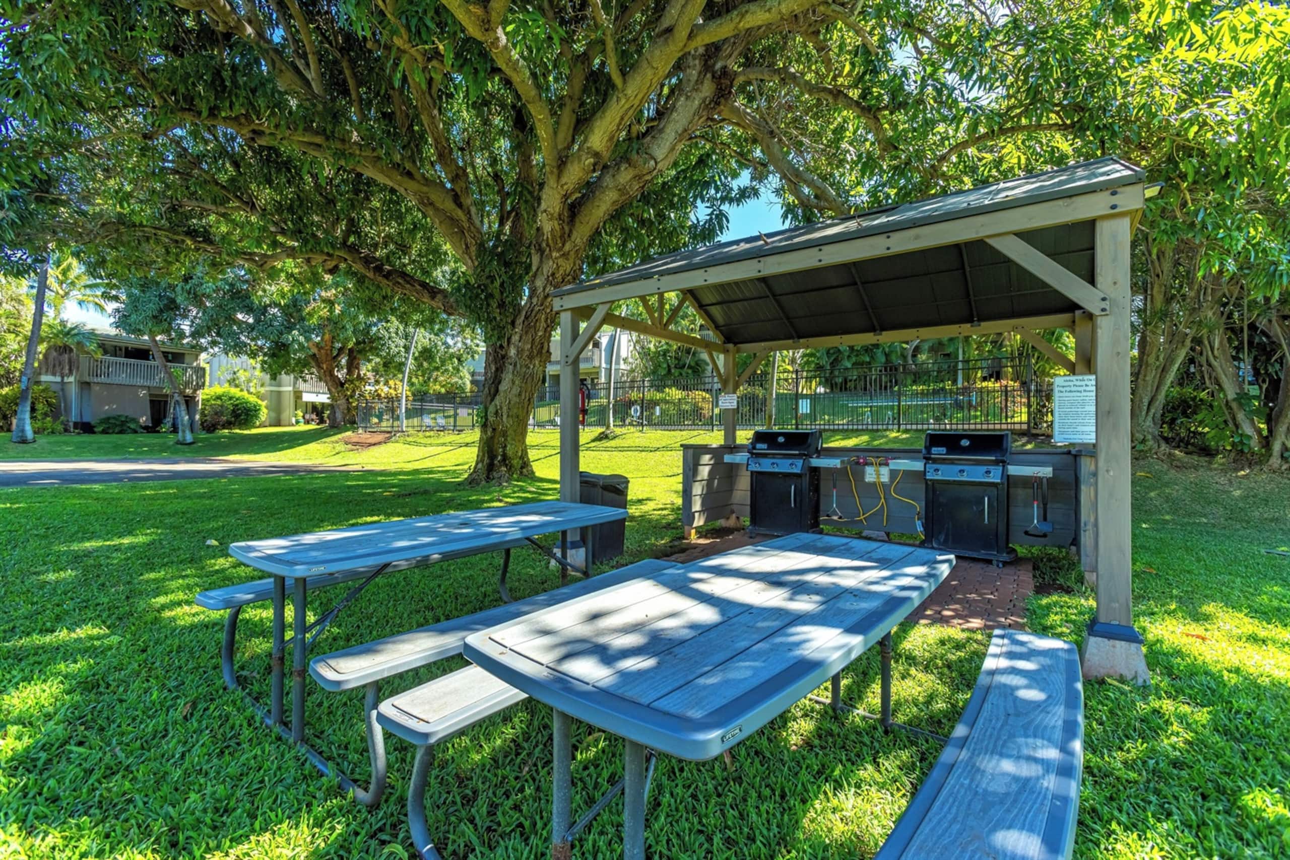 Condo in Lahaina · ★4.88 · 1 bedroom · 2 beds · 1 bath - Image 21