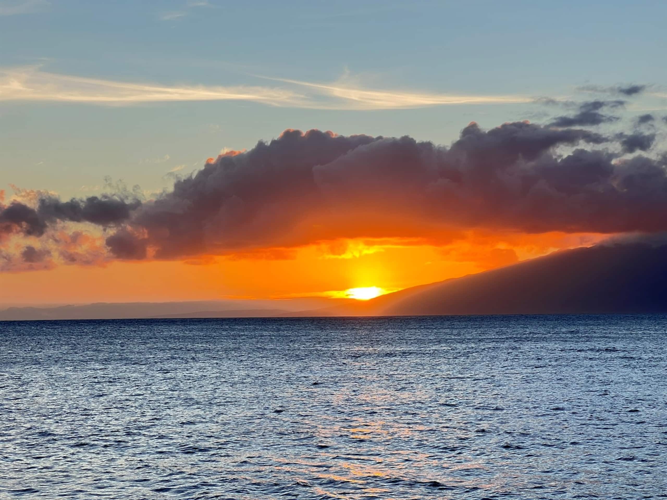 Condo in Lahaina · ★4.88 · 1 bedroom · 2 beds · 1 bath - Image 23