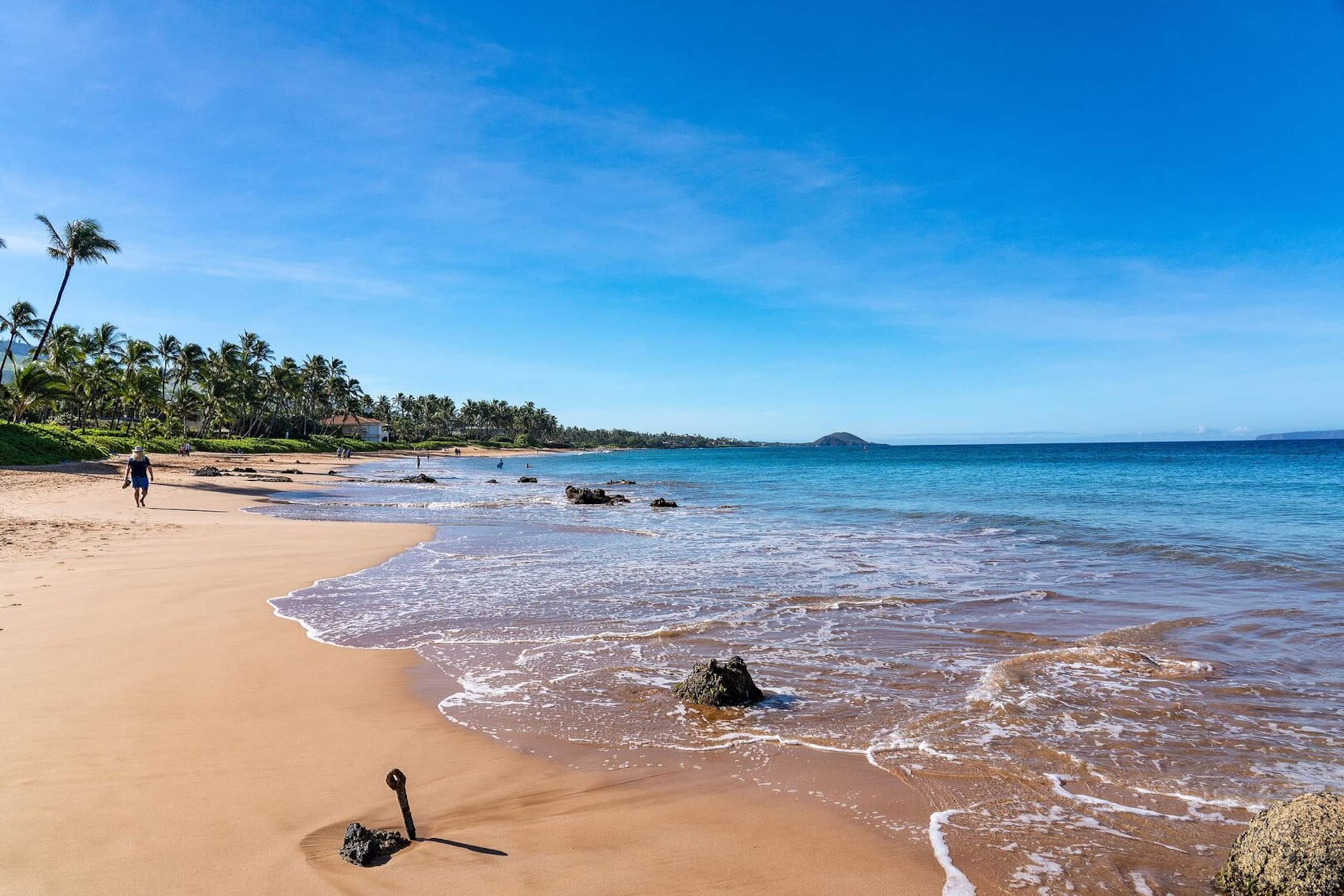Condo in Kihei · ★5.0 · 2 bedrooms · 2 beds · 2 baths - Image 50