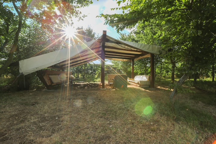 Little Lodge Glamping - Norfolk