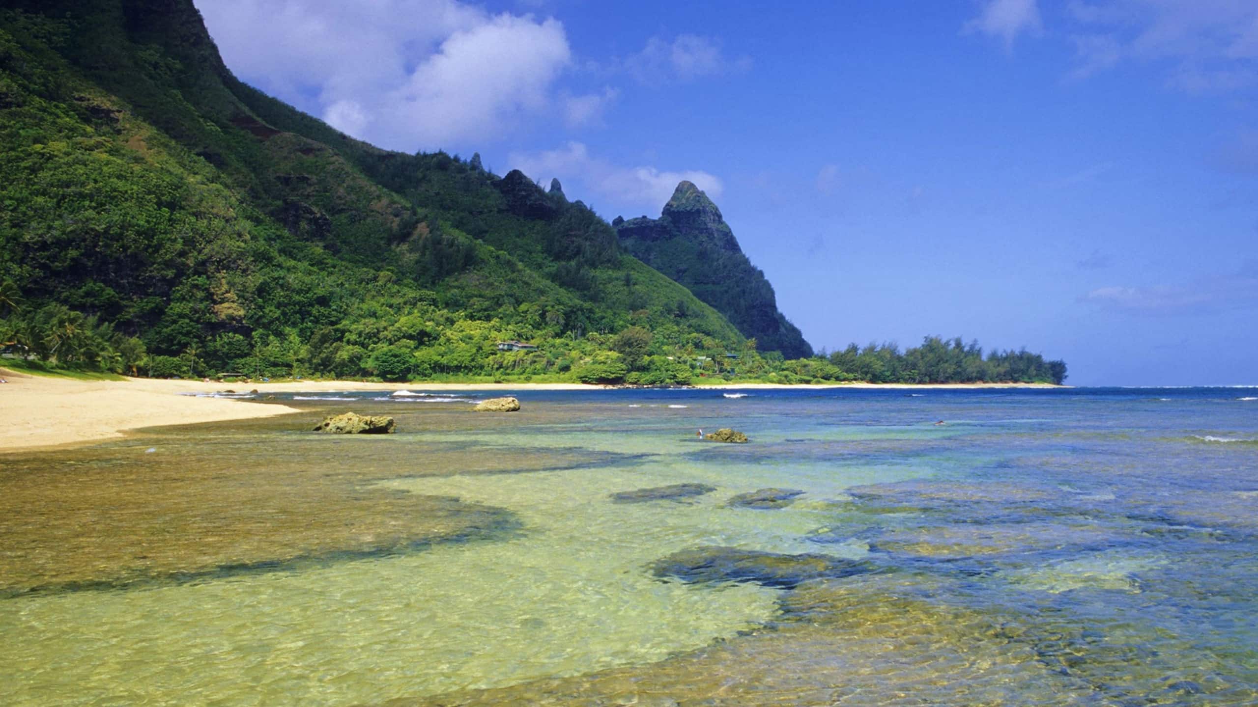 Condo in Princeville · ★4.86 · 1 bedroom · 2 beds · 1 bath - Image 24