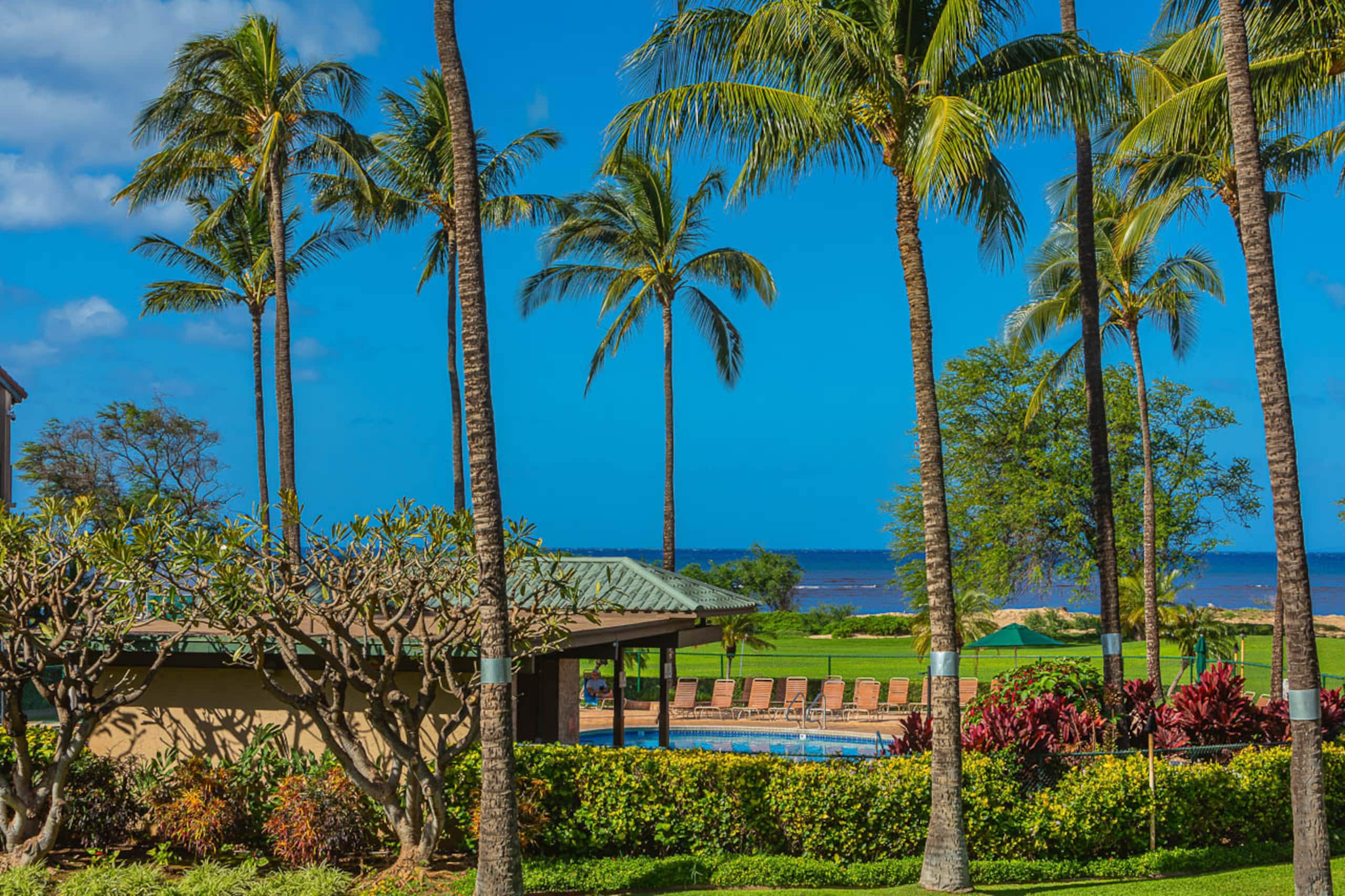 Condo in Kihei · ★4.67 · 1 bedroom · 2 beds · 1 bath - Image 41