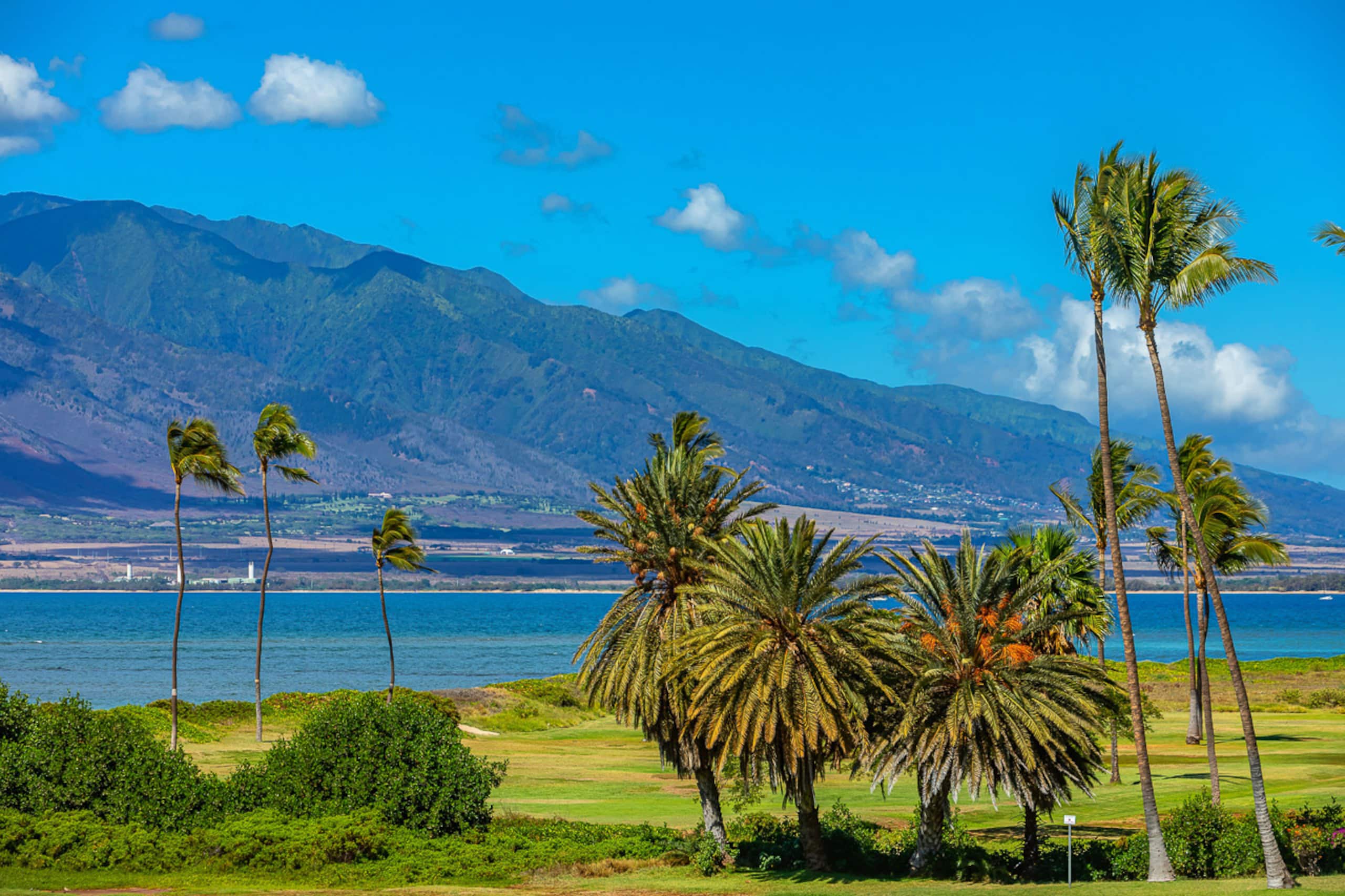 Condo in Kihei · ★4.67 · 1 bedroom · 2 beds · 1 bath - Image 52