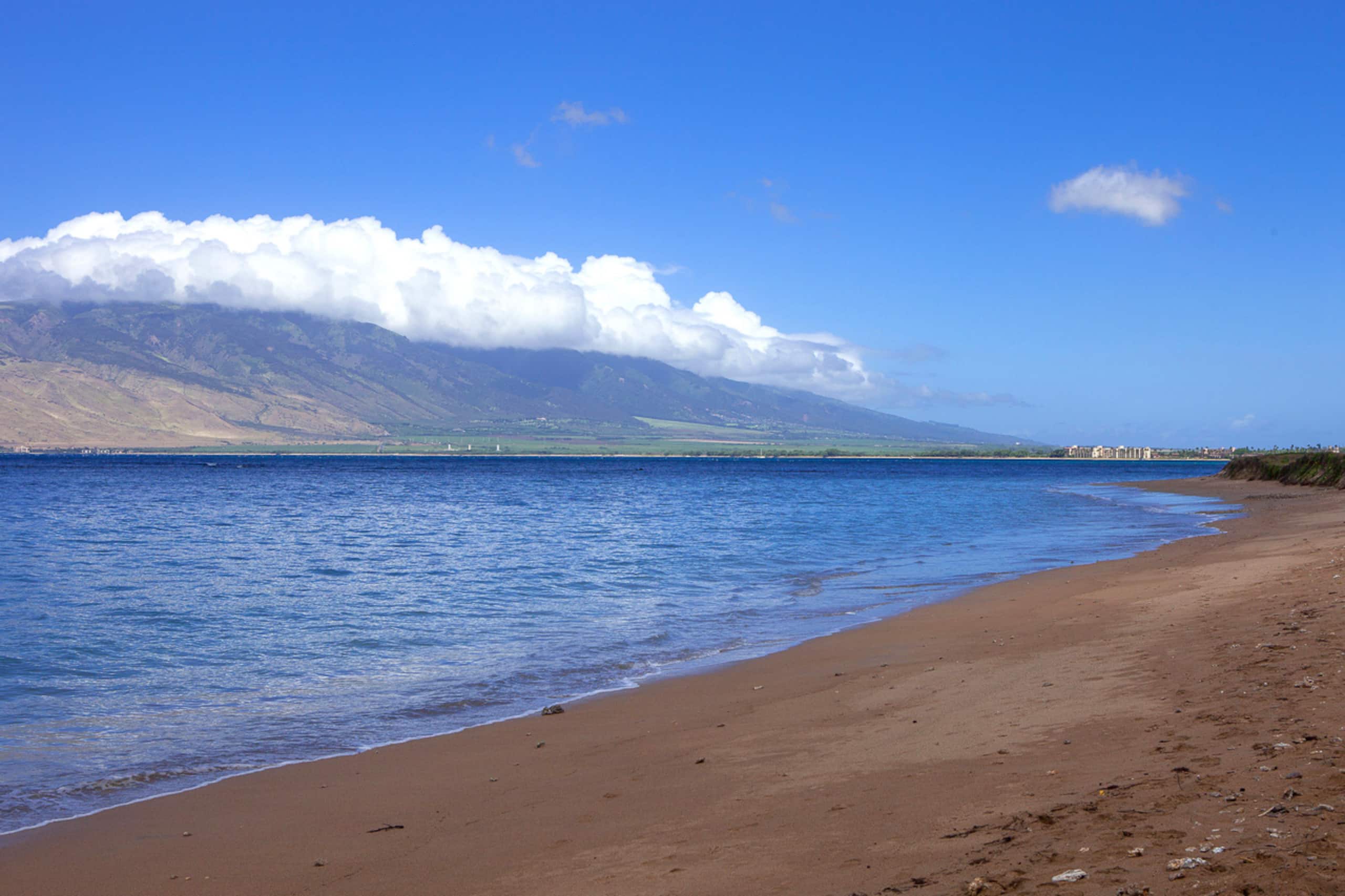Condo in Kihei · ★4.67 · 1 bedroom · 2 beds · 1 bath - Image 58