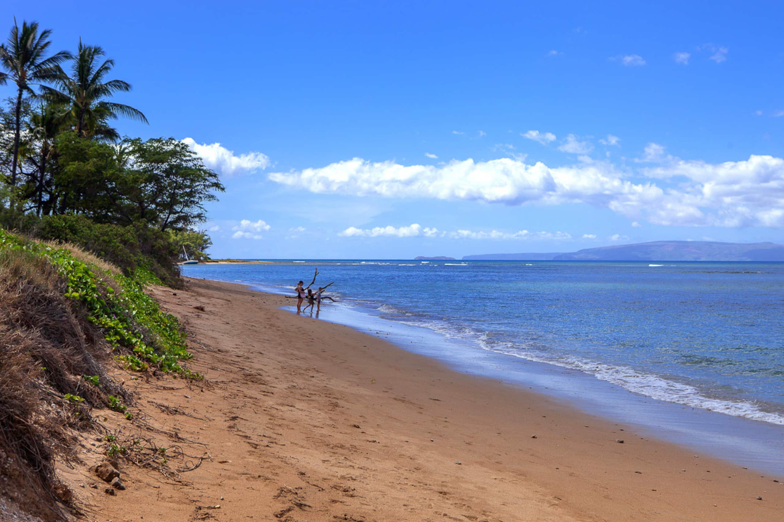 Condo in Kihei · ★4.67 · 1 bedroom · 2 beds · 1 bath - Image 57