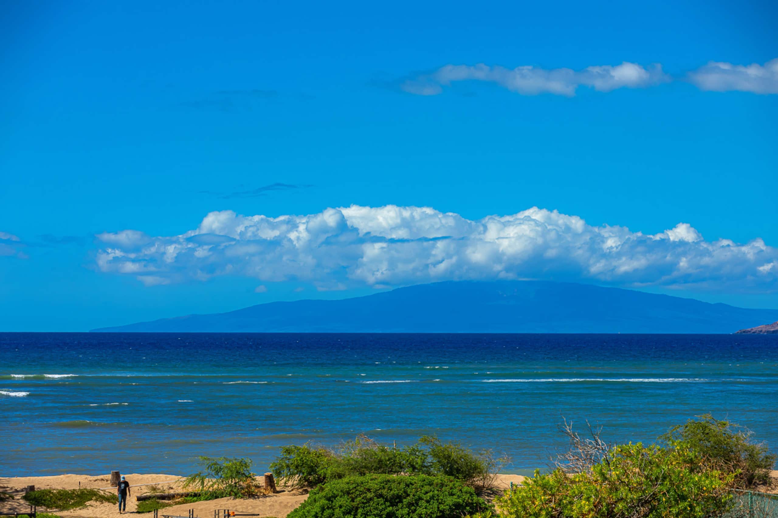 Condo in Kihei · ★4.67 · 1 bedroom · 2 beds · 1 bath - Image 55